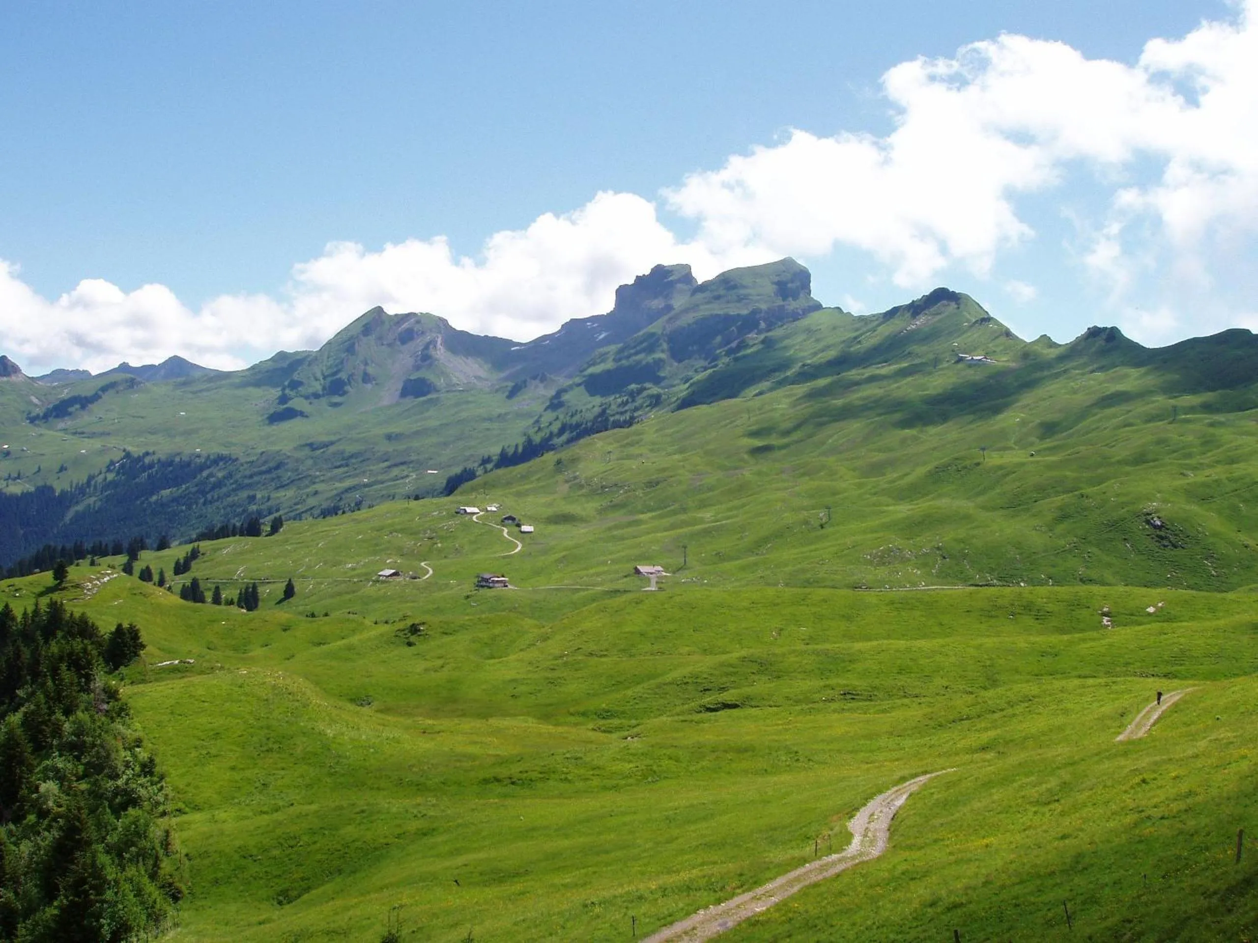 Summer in Minster Hotel