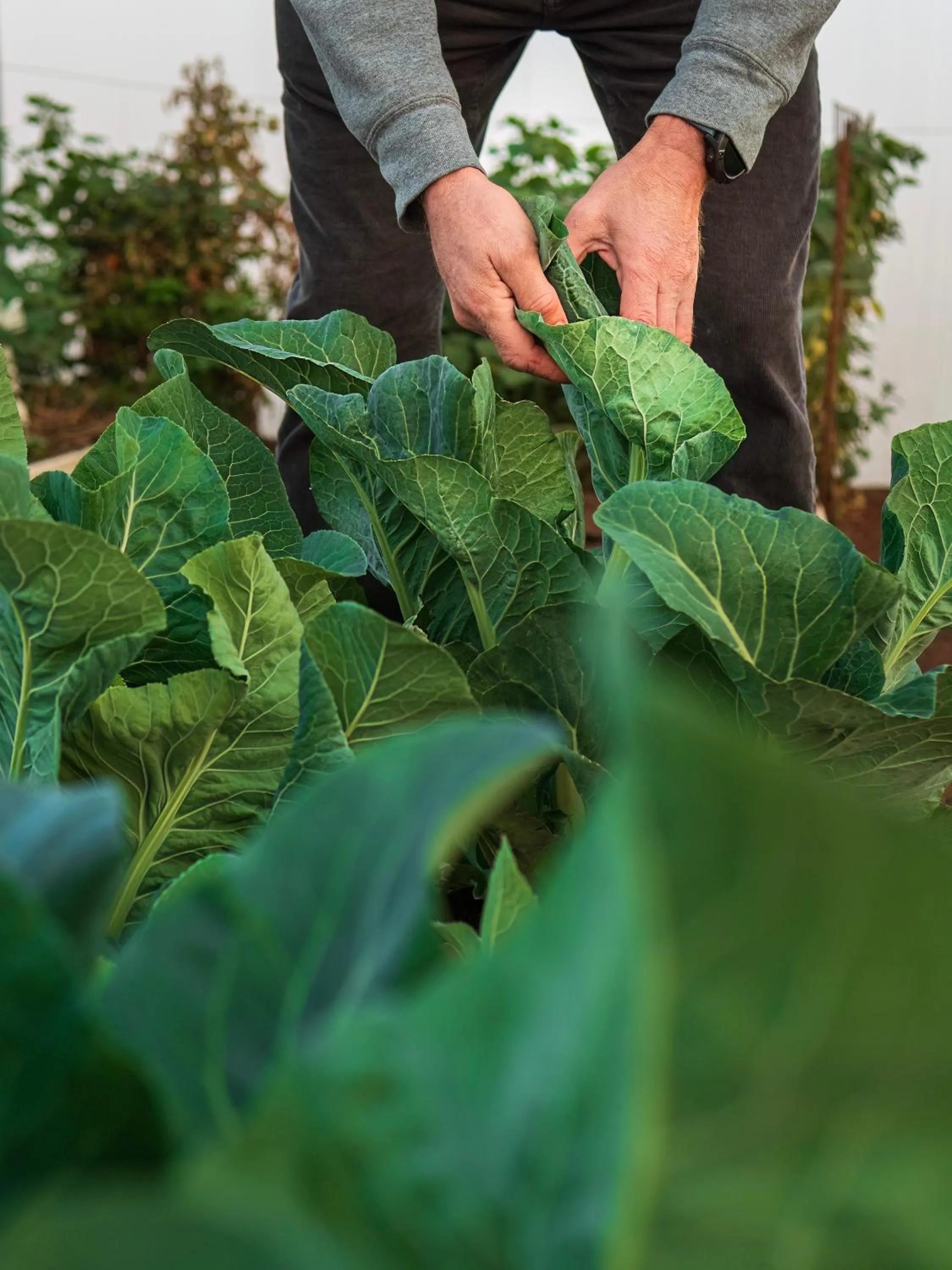 Garden in MHONDORO SAFARI LODGE & VILLA