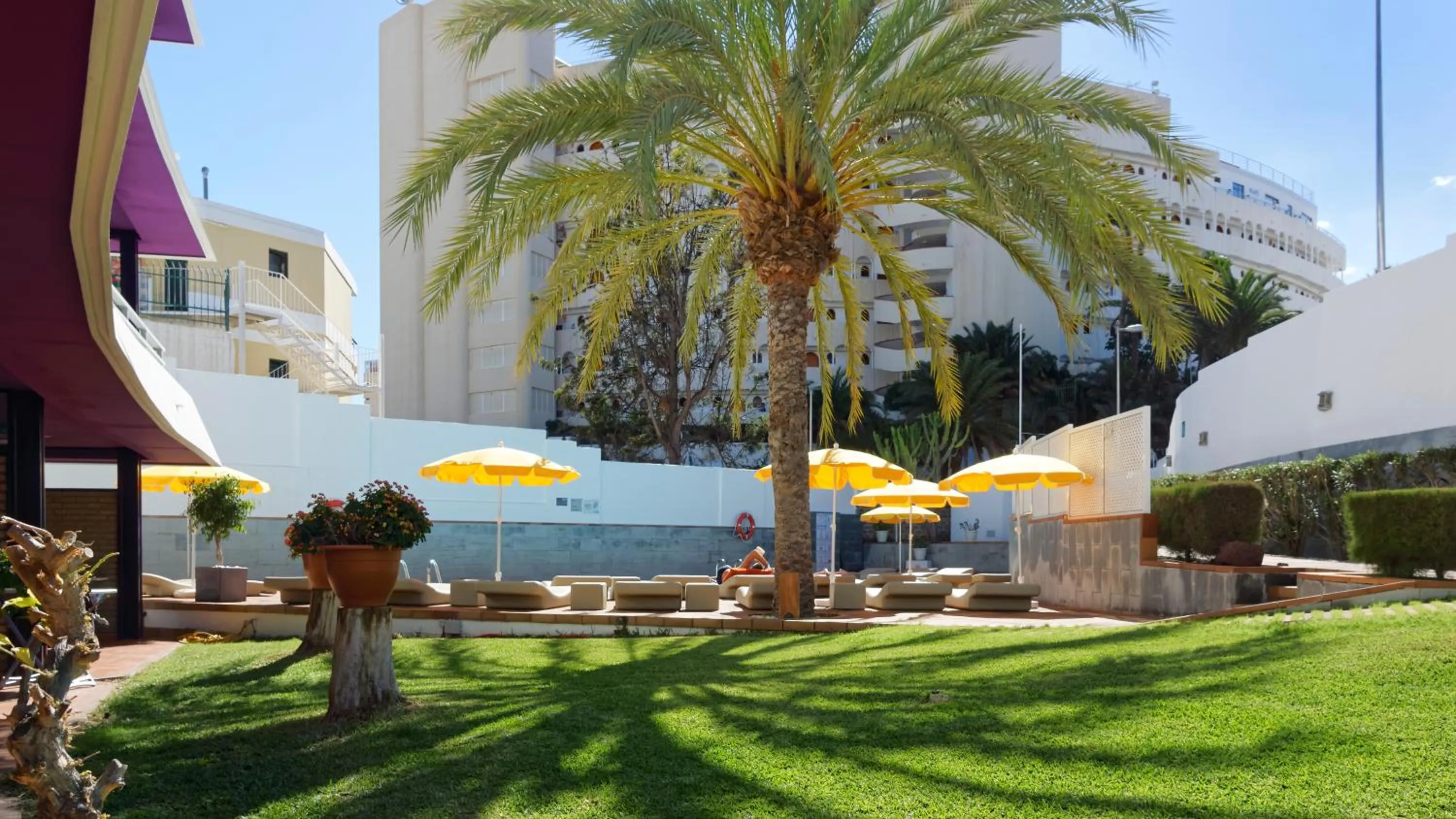 Garden in Jacarandas Beach