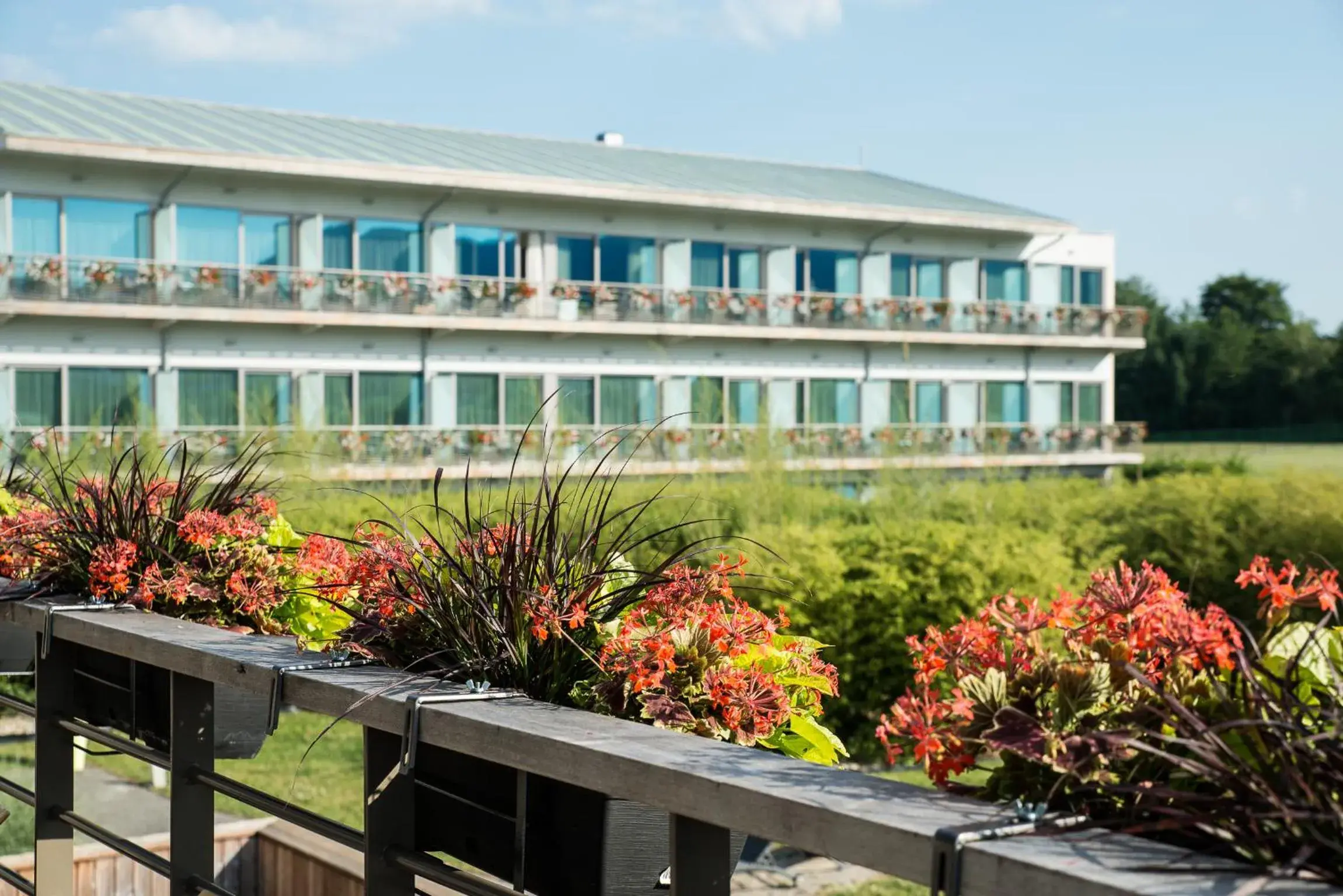 Property building in Hôtel Barrière Ribeauvillé Property building in Hôtel Barrière Ribeauvillé