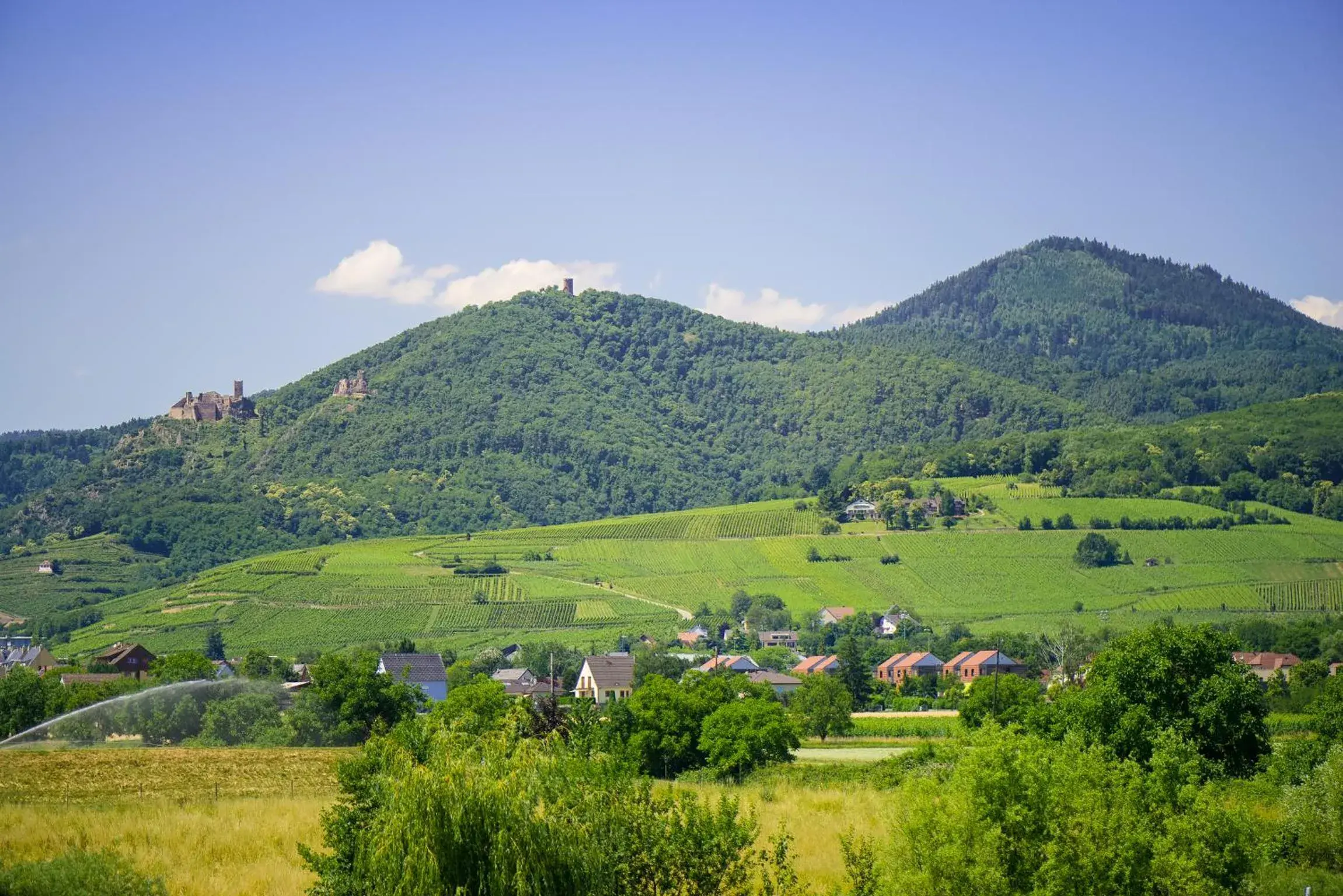 Landmark view in Hôtel Barrière Ribeauvillé Landmark view in Hôtel Barrière Ribeauvillé