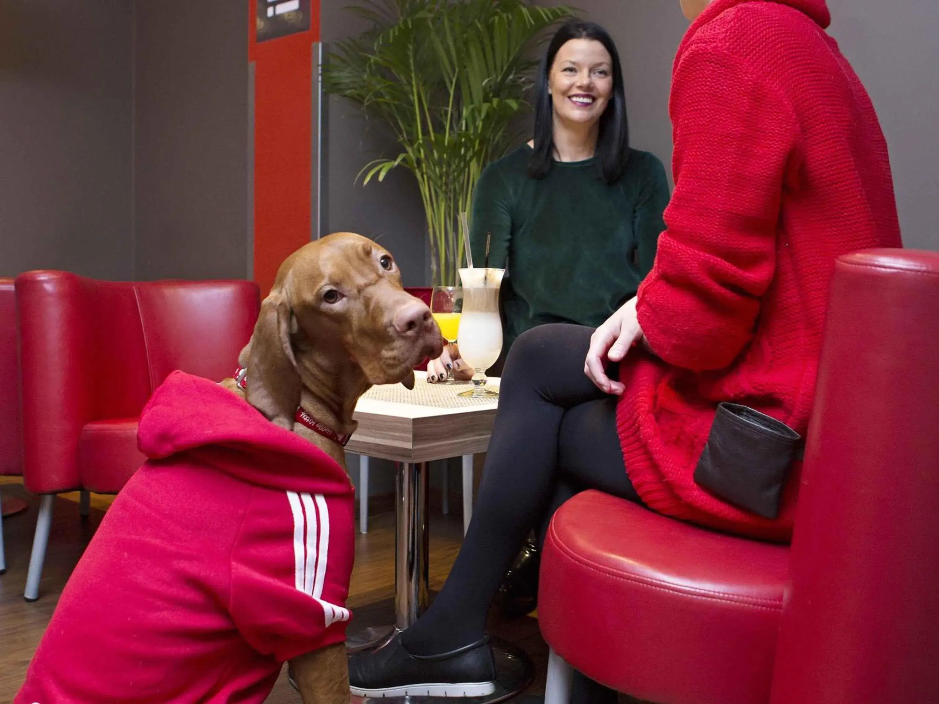 Restaurant/places to eat in Ibis Kaunas Centre Restaurant/places to eat in Ibis Kaunas Centre