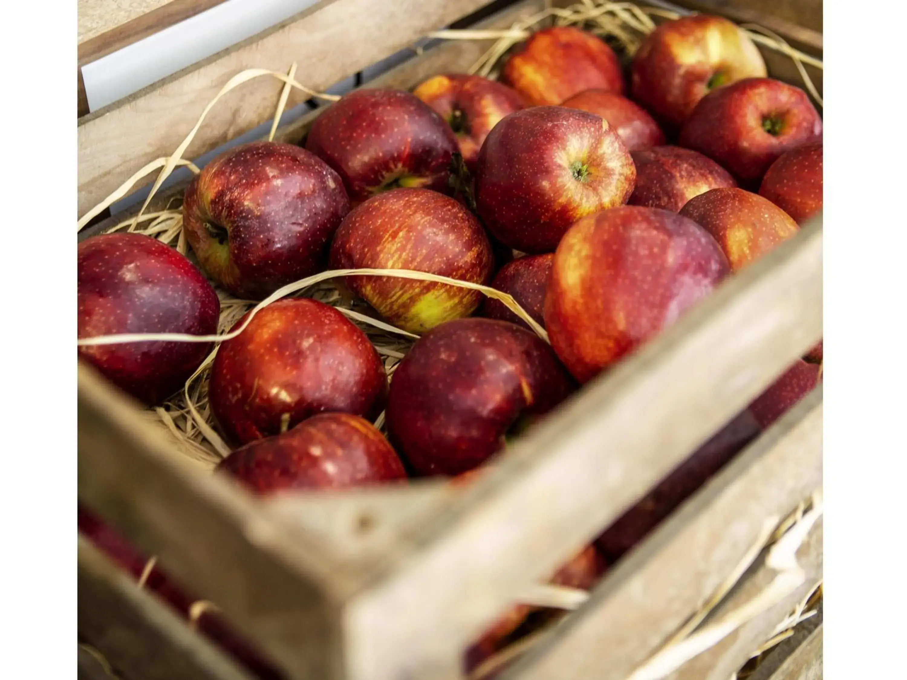 Breakfast in Ibis Kaunas Centre Breakfast in Ibis Kaunas Centre