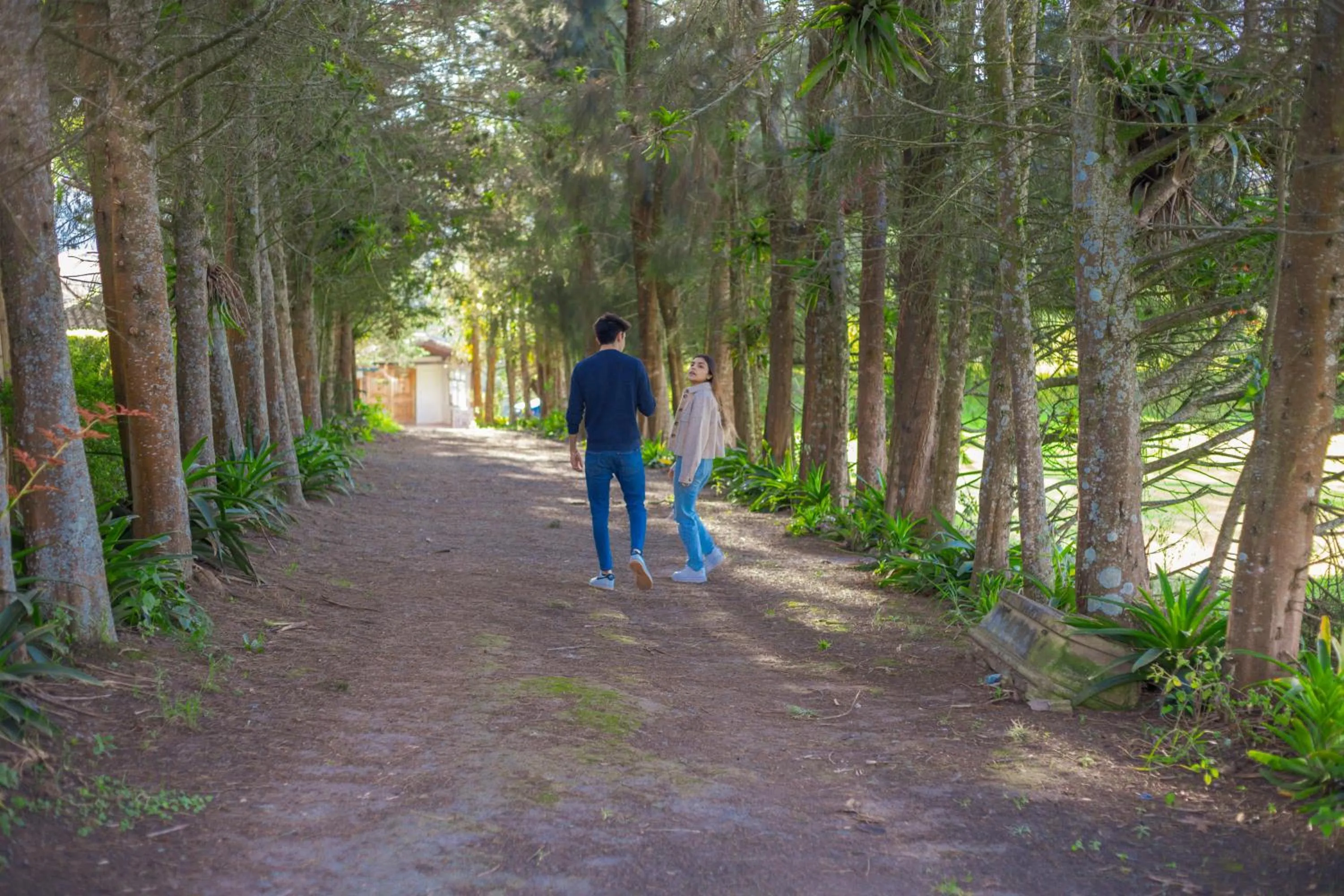 Natural landscape in Hosteria Cananvalle