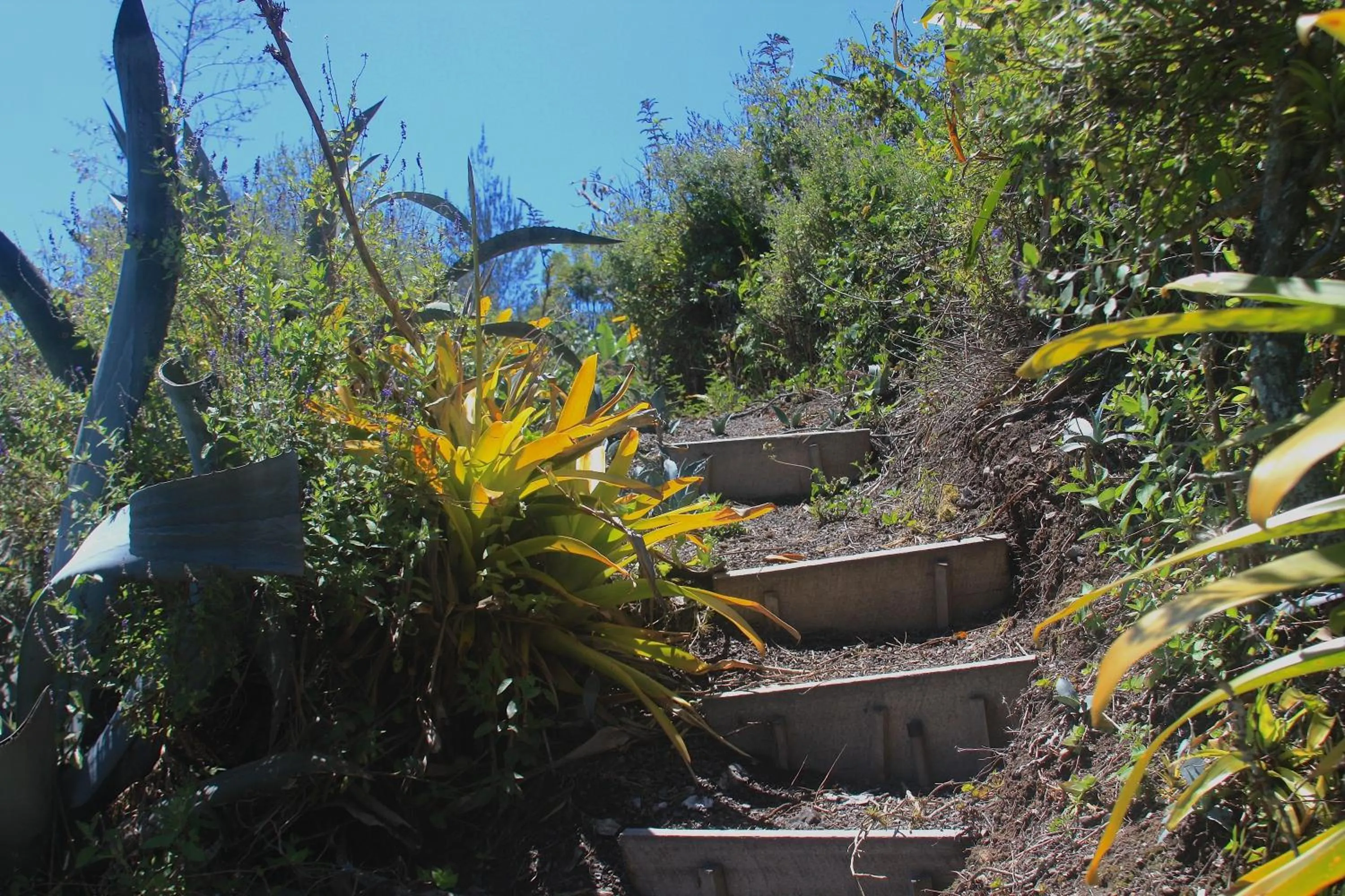 Day in Hosteria Cananvalle