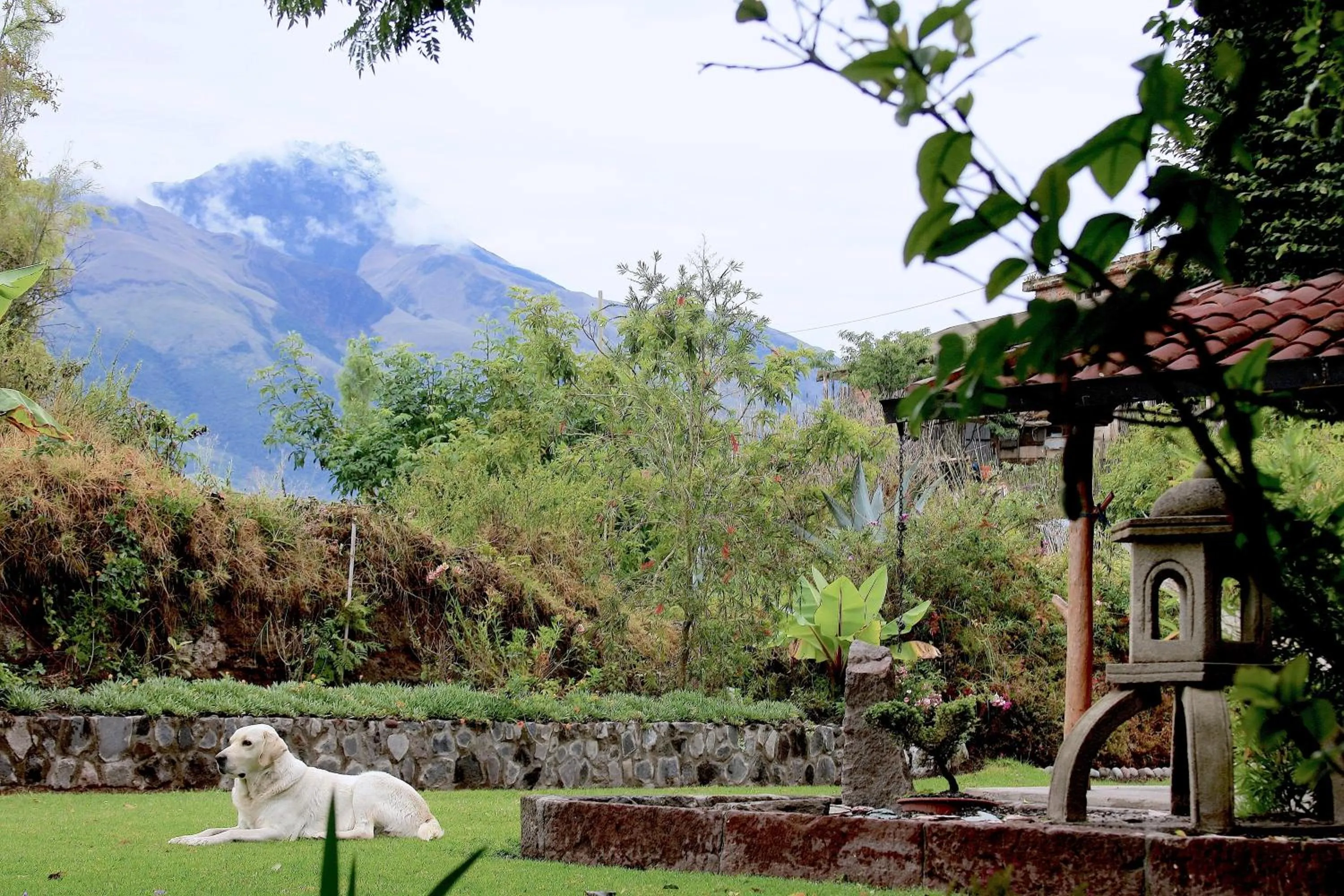 Garden in Hosteria Cananvalle