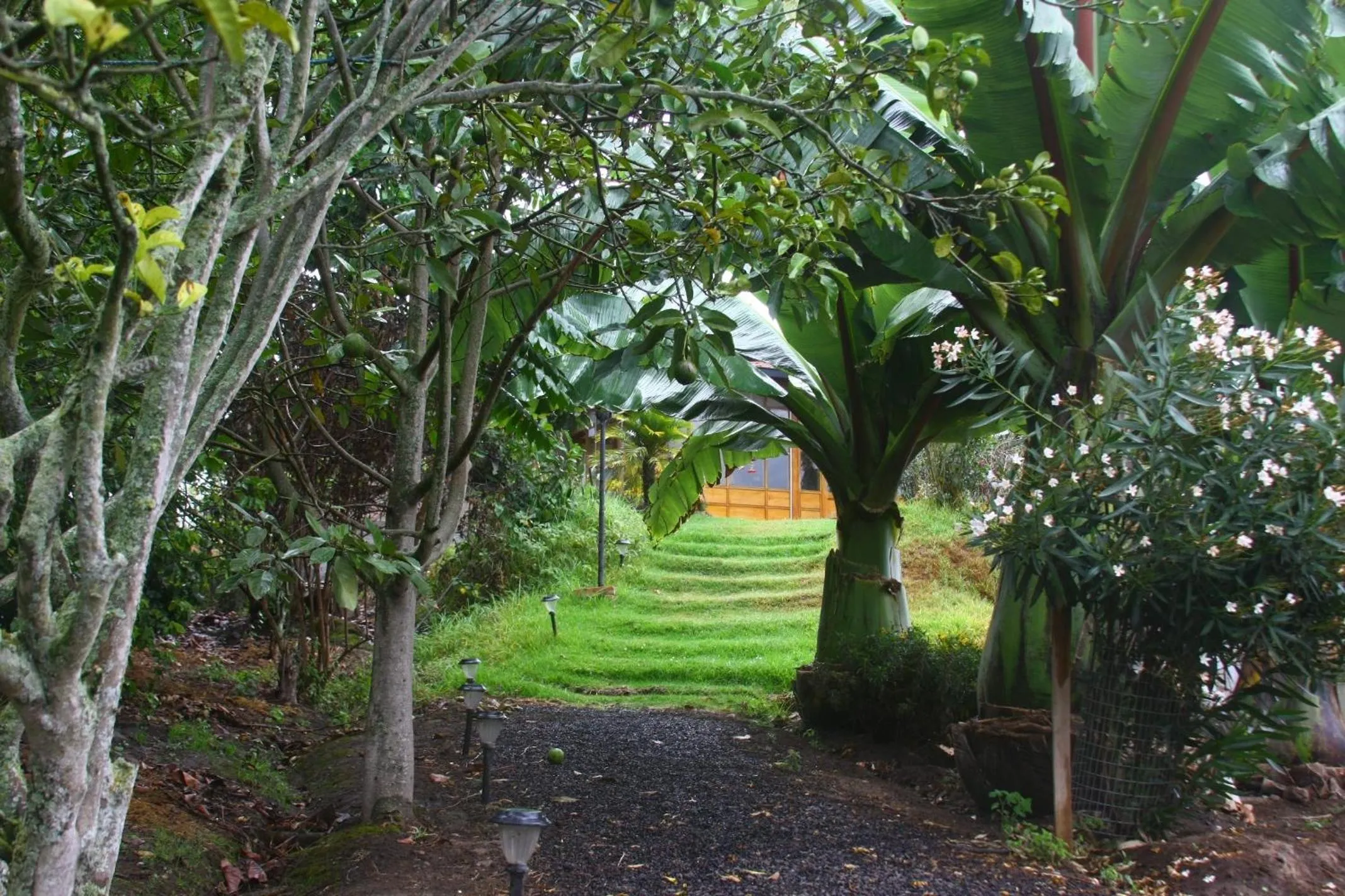 Garden in Hosteria Cananvalle