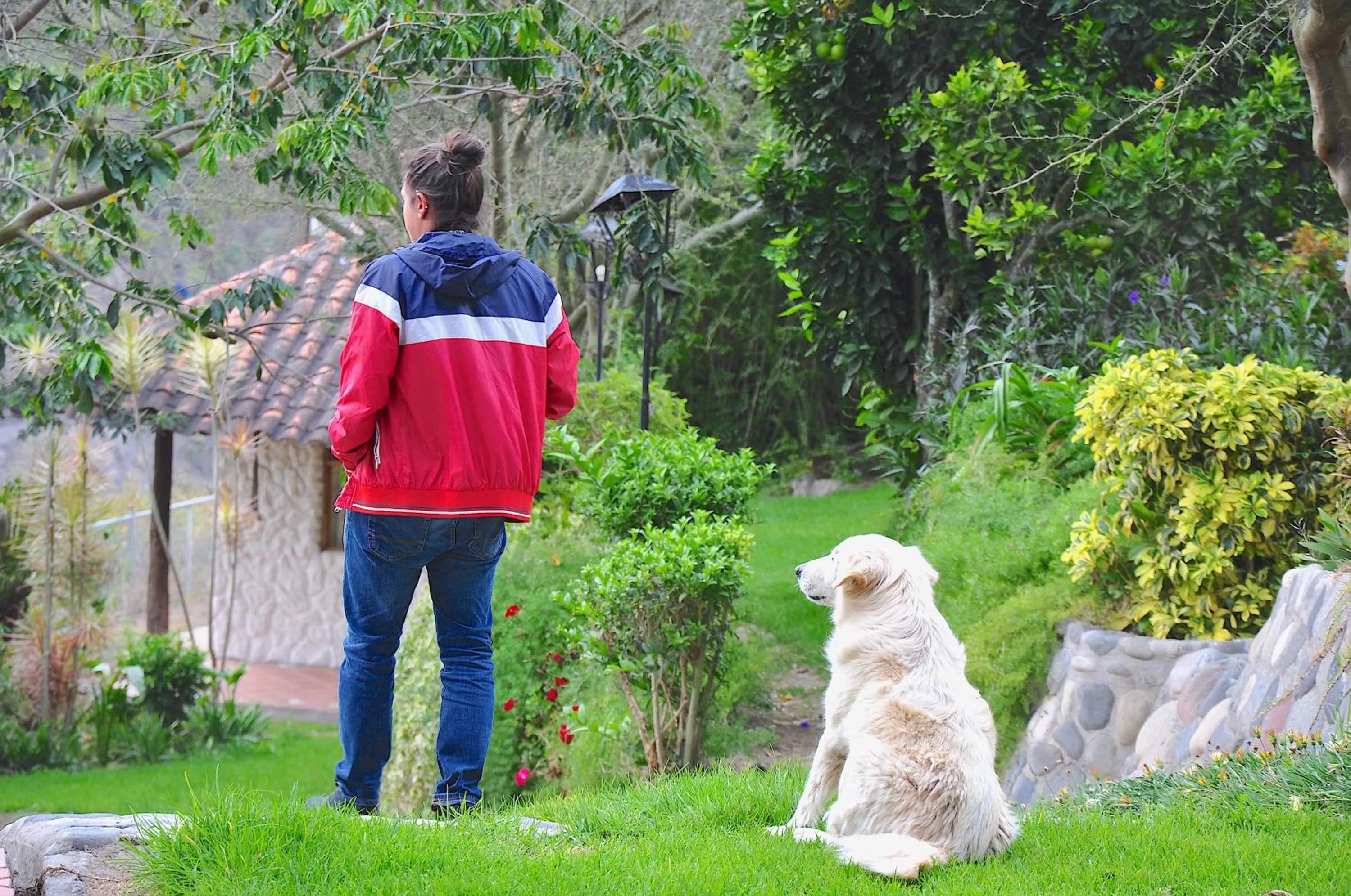 Garden view in Hosteria Cananvalle