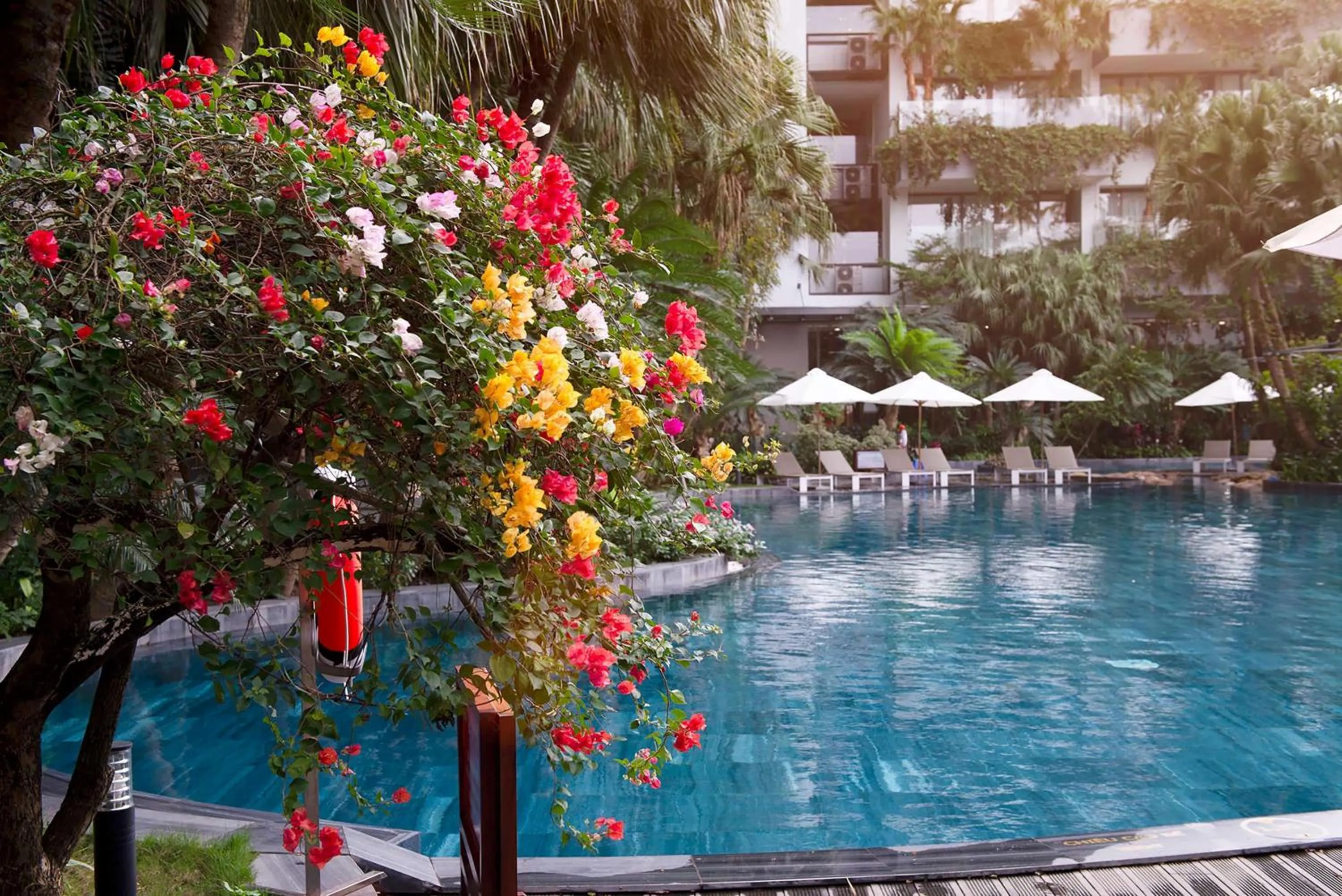 Lounge or bar in Flamingo Resort Dai Lai