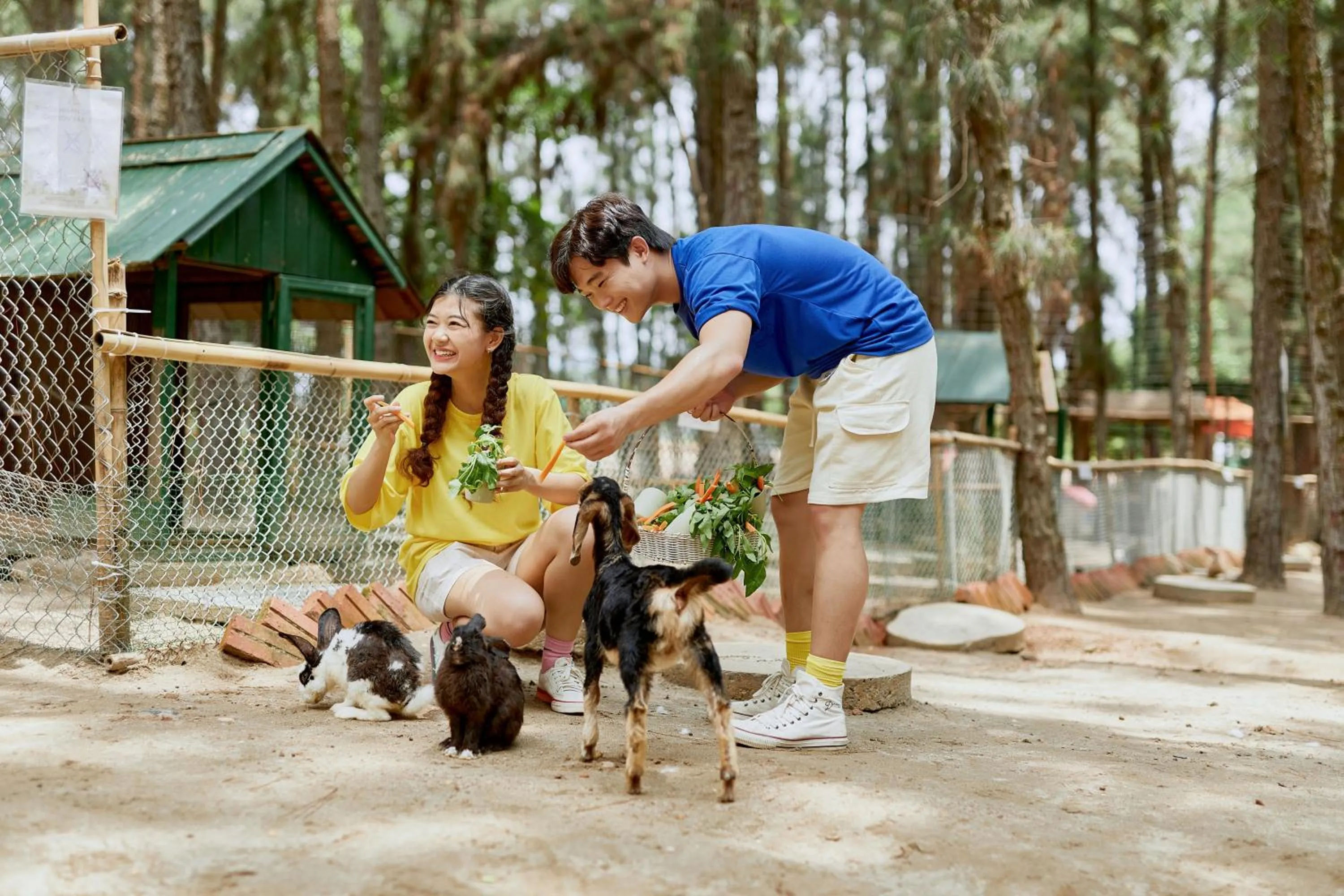 Entertainment in Flamingo Resort Dai Lai