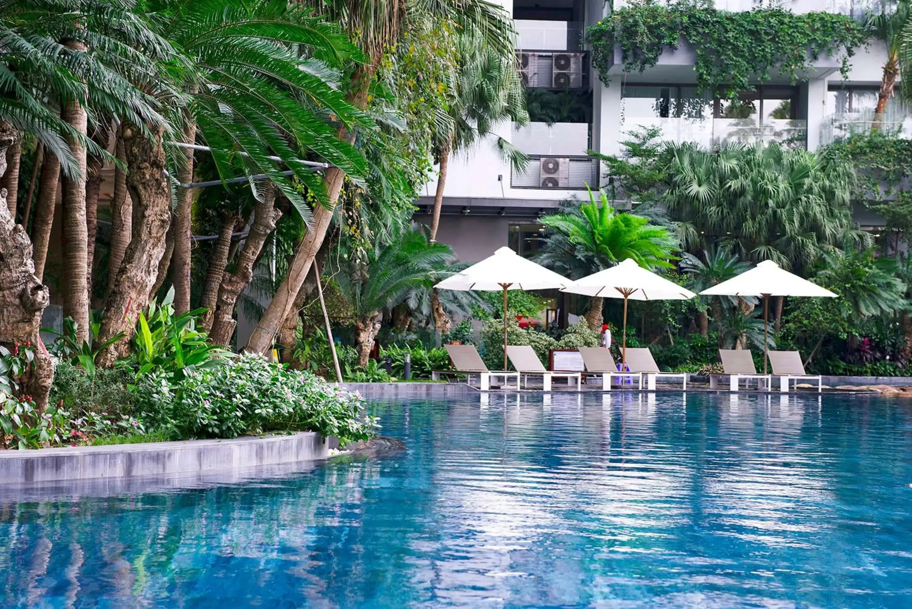 Lounge or bar in Flamingo Resort Dai Lai Lounge or bar in Flamingo Resort Dai Lai