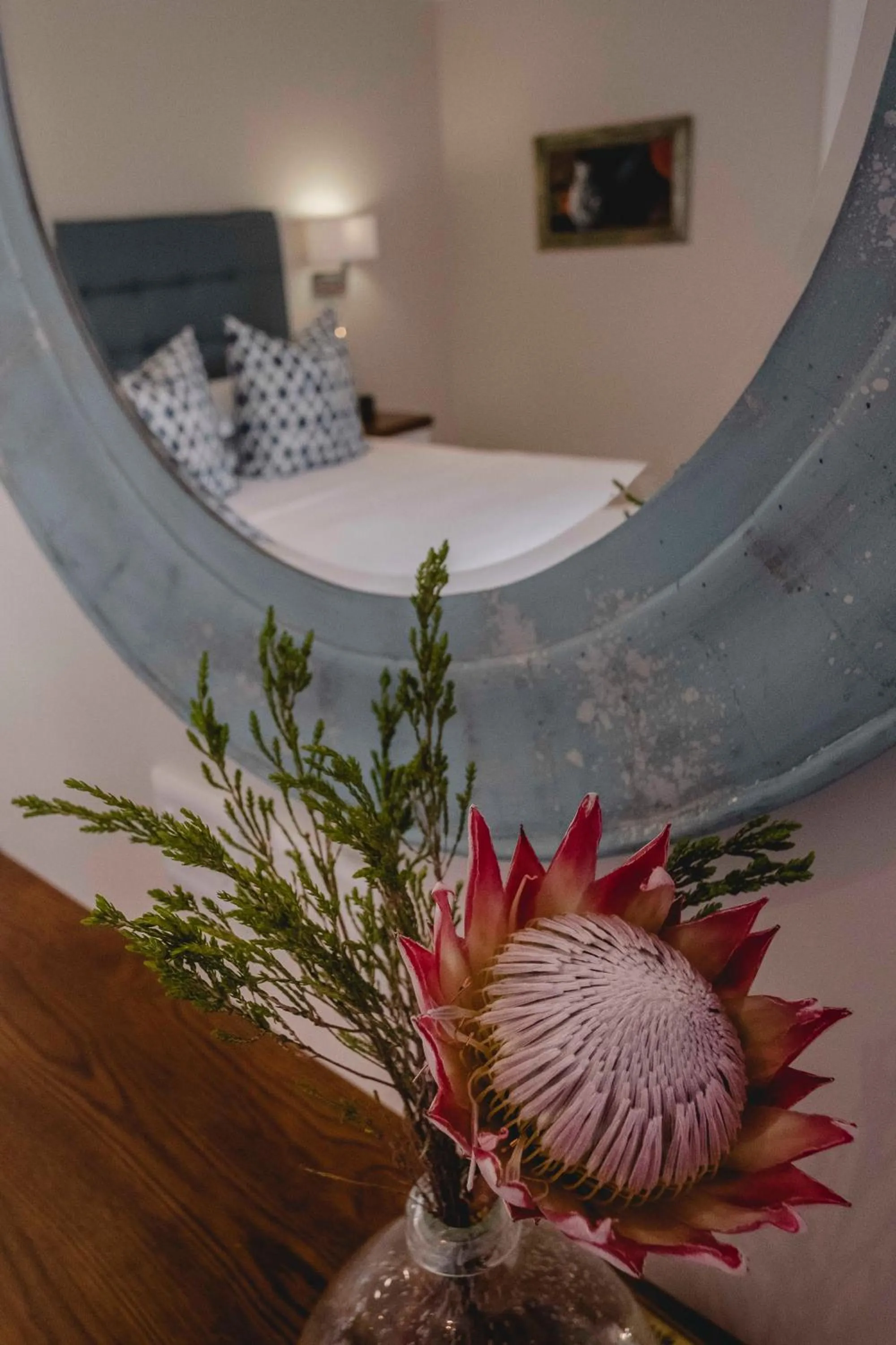 Garden in Admiralty Beach House