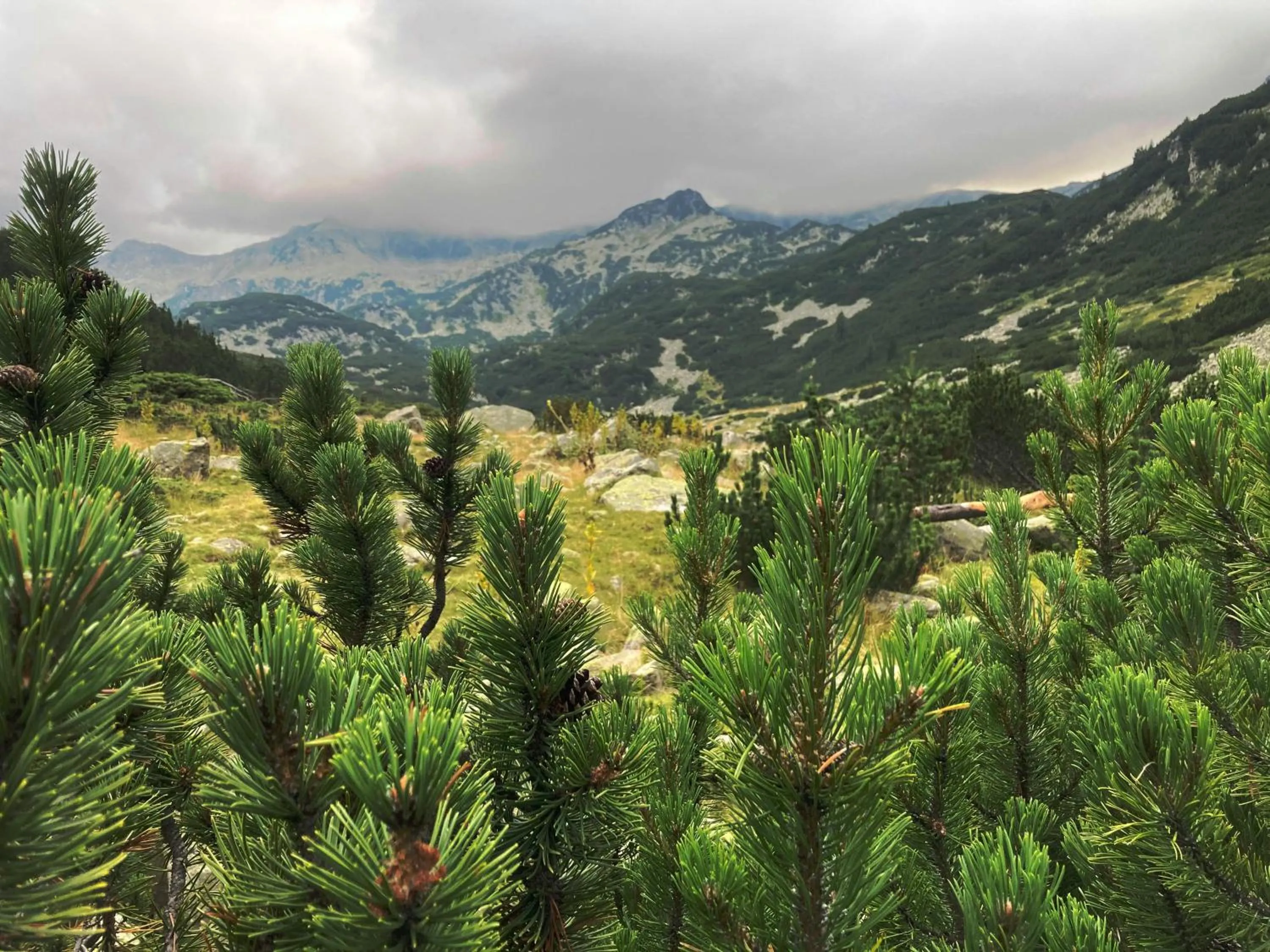 Nearby landmark in Family Hotel Delta