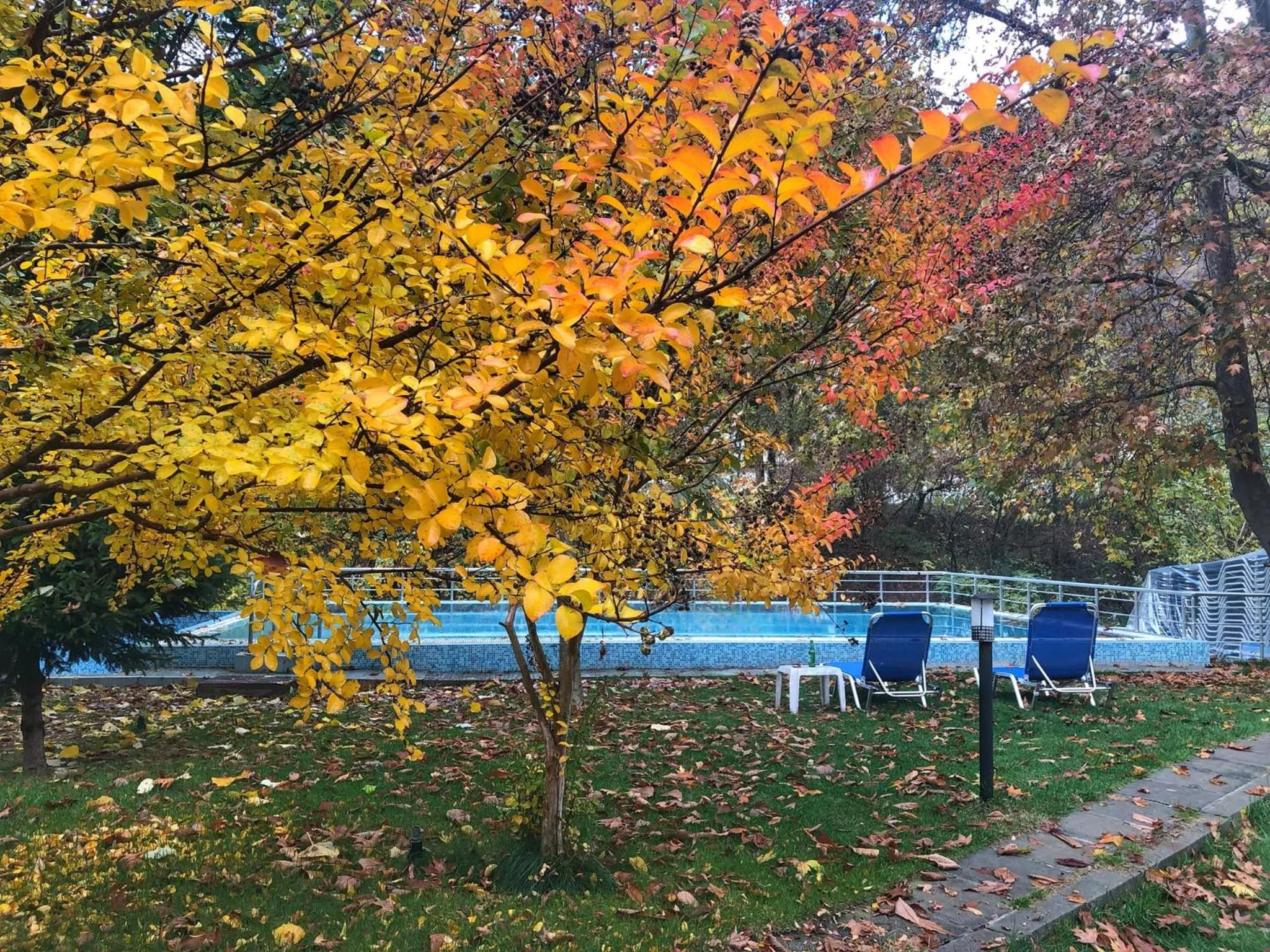 Day in Family Hotel Delta