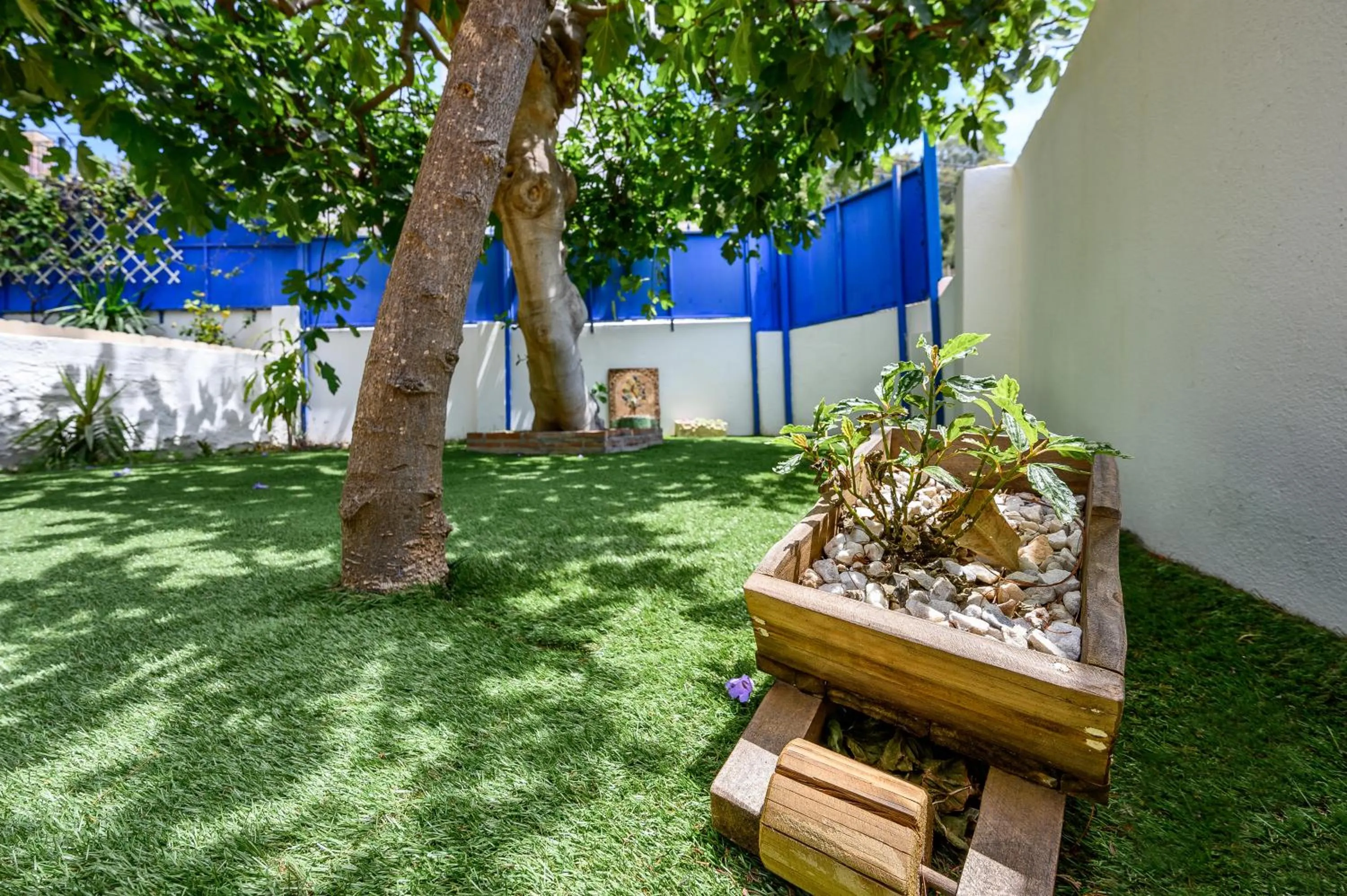 Blue Castle GuestHouse