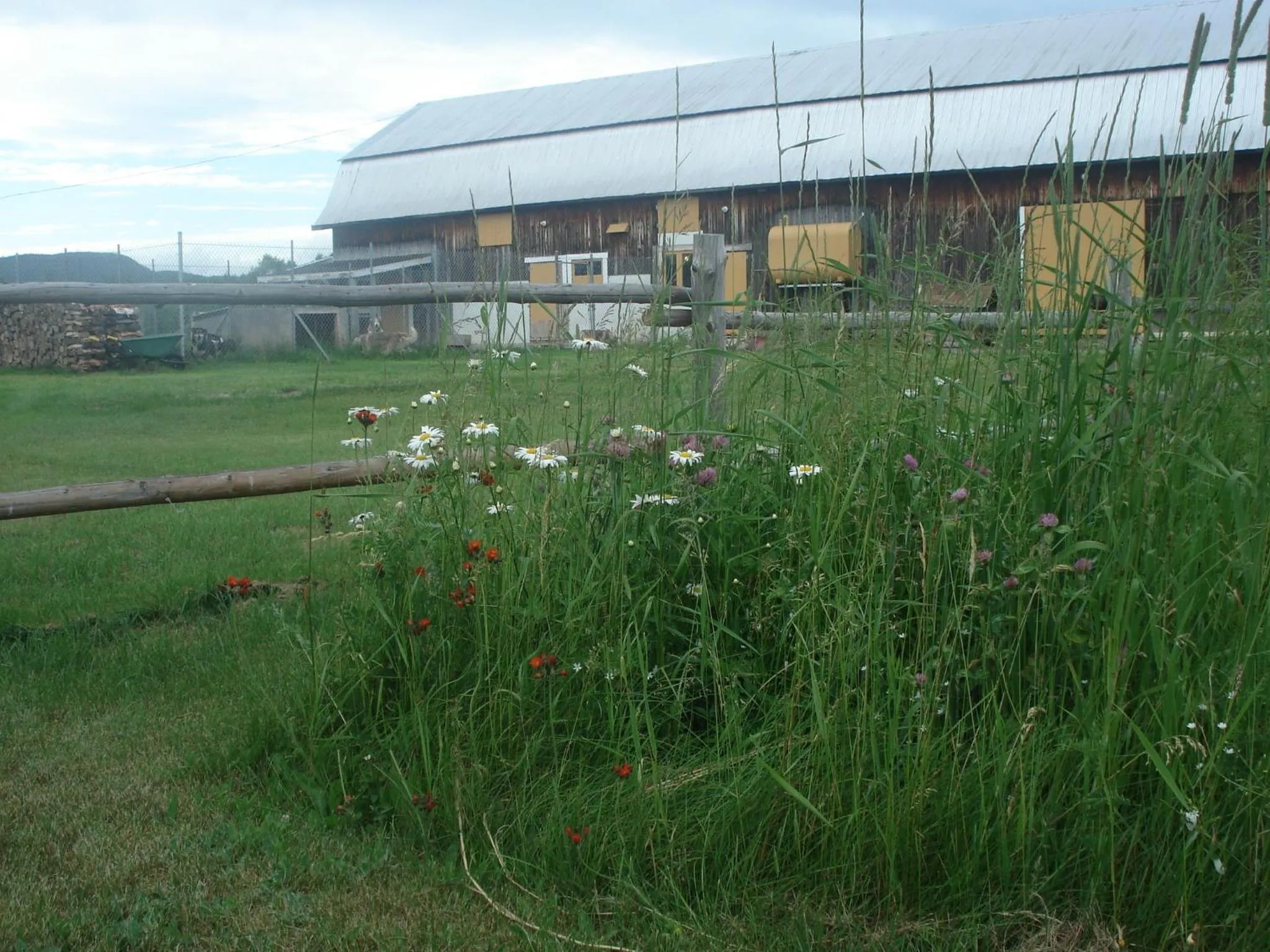 Garden in Motel la Maison de Travers