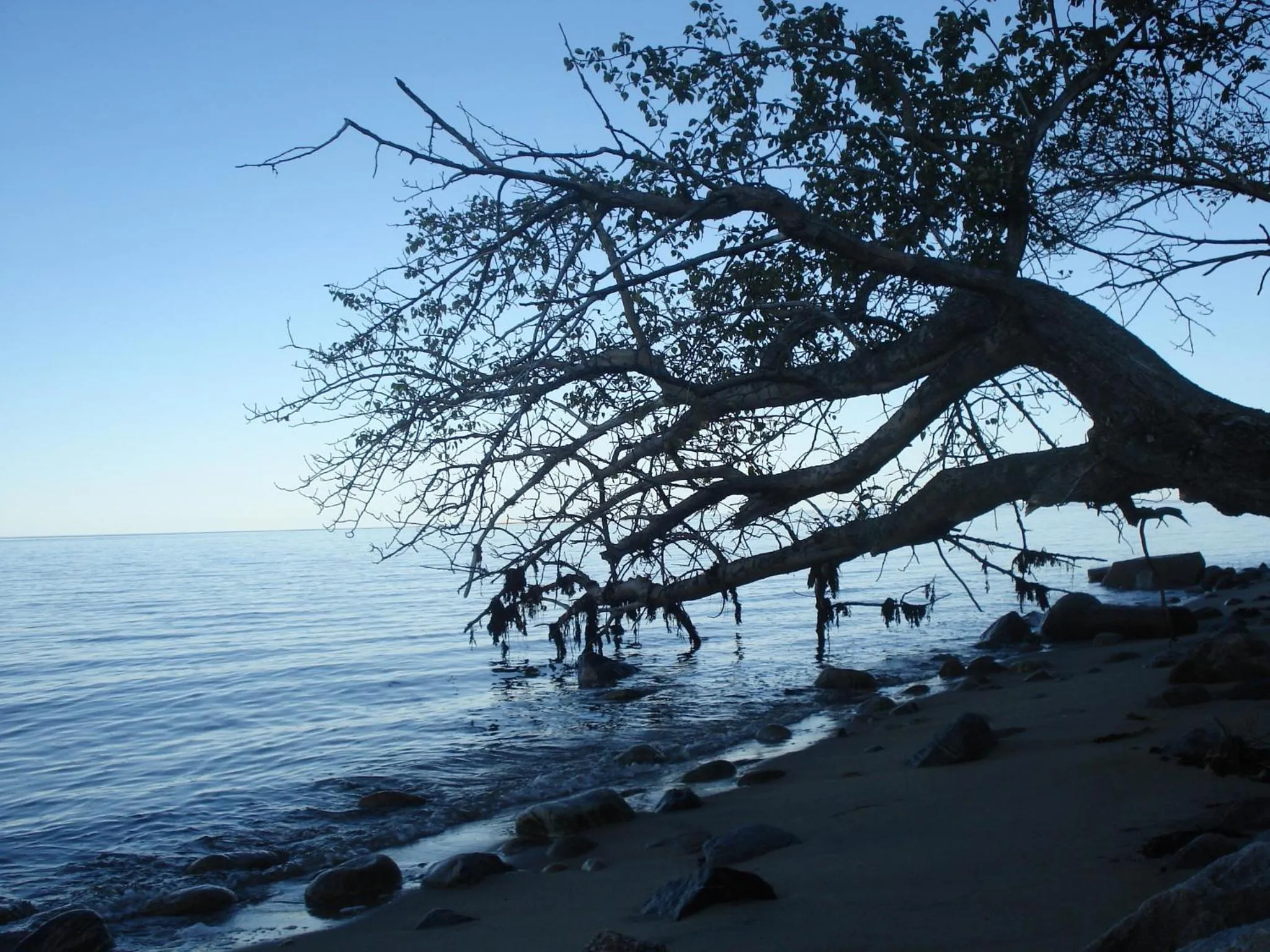 View (from property/room) in Motel la Maison de Travers