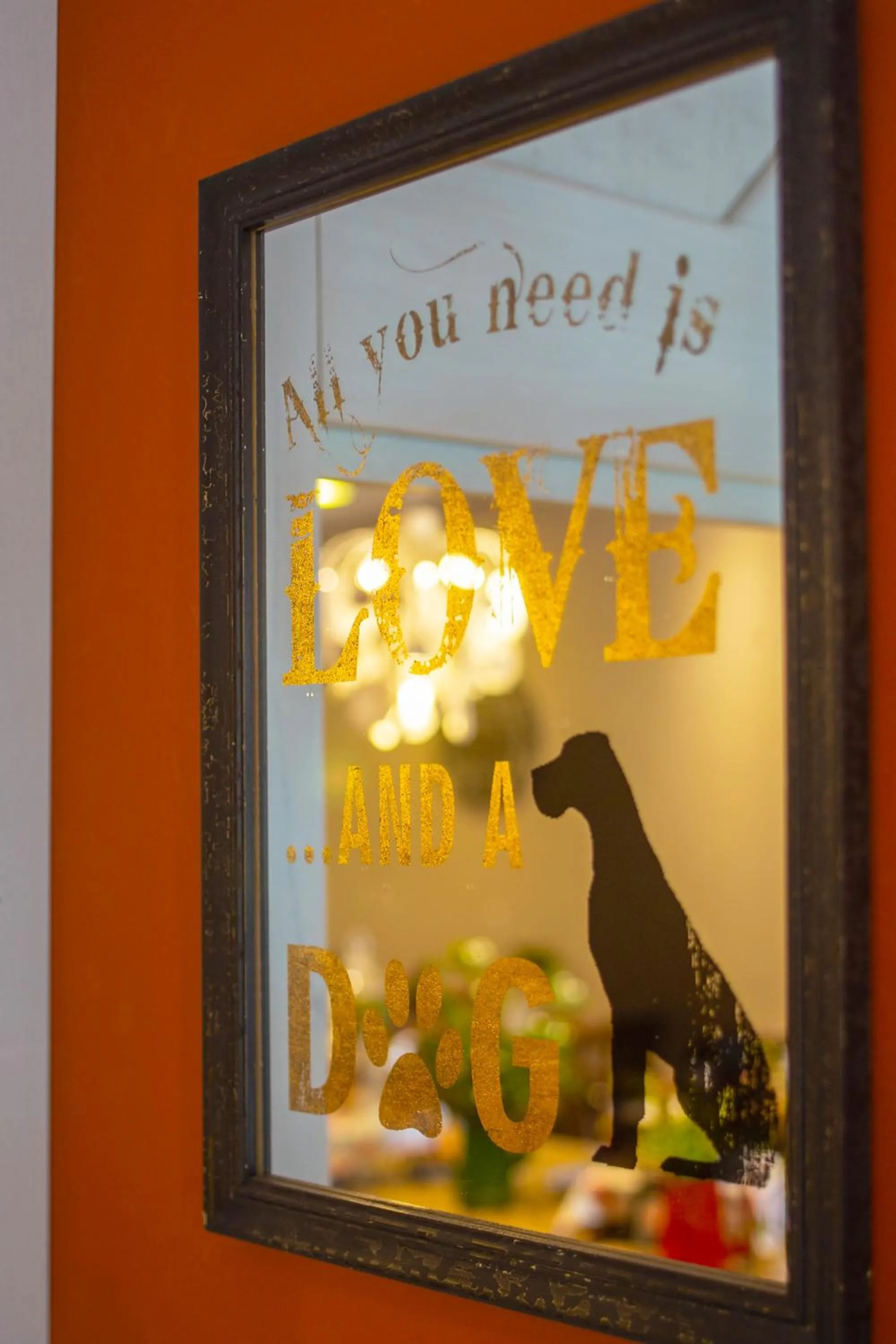 Pets in Petit Casa da Montanha