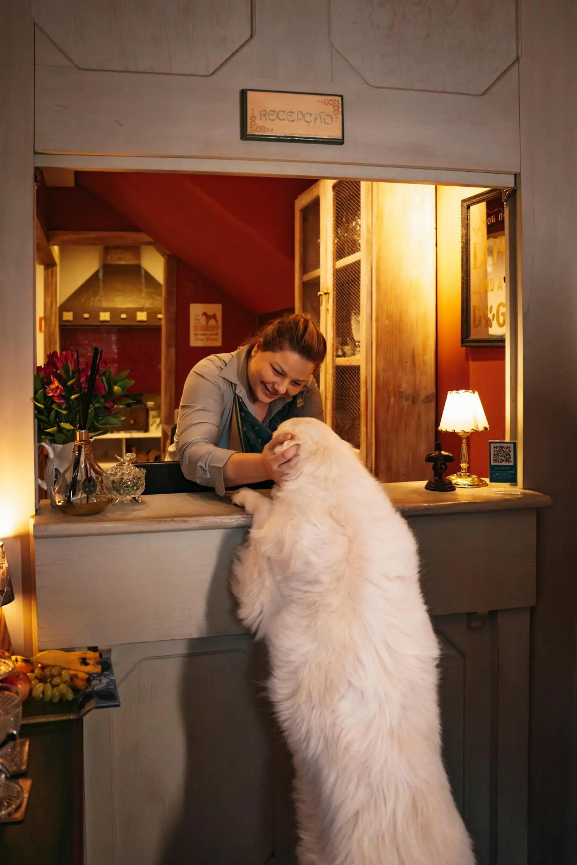 Lobby or reception in Petit Casa da Montanha Lobby or reception in Petit Casa da Montanha