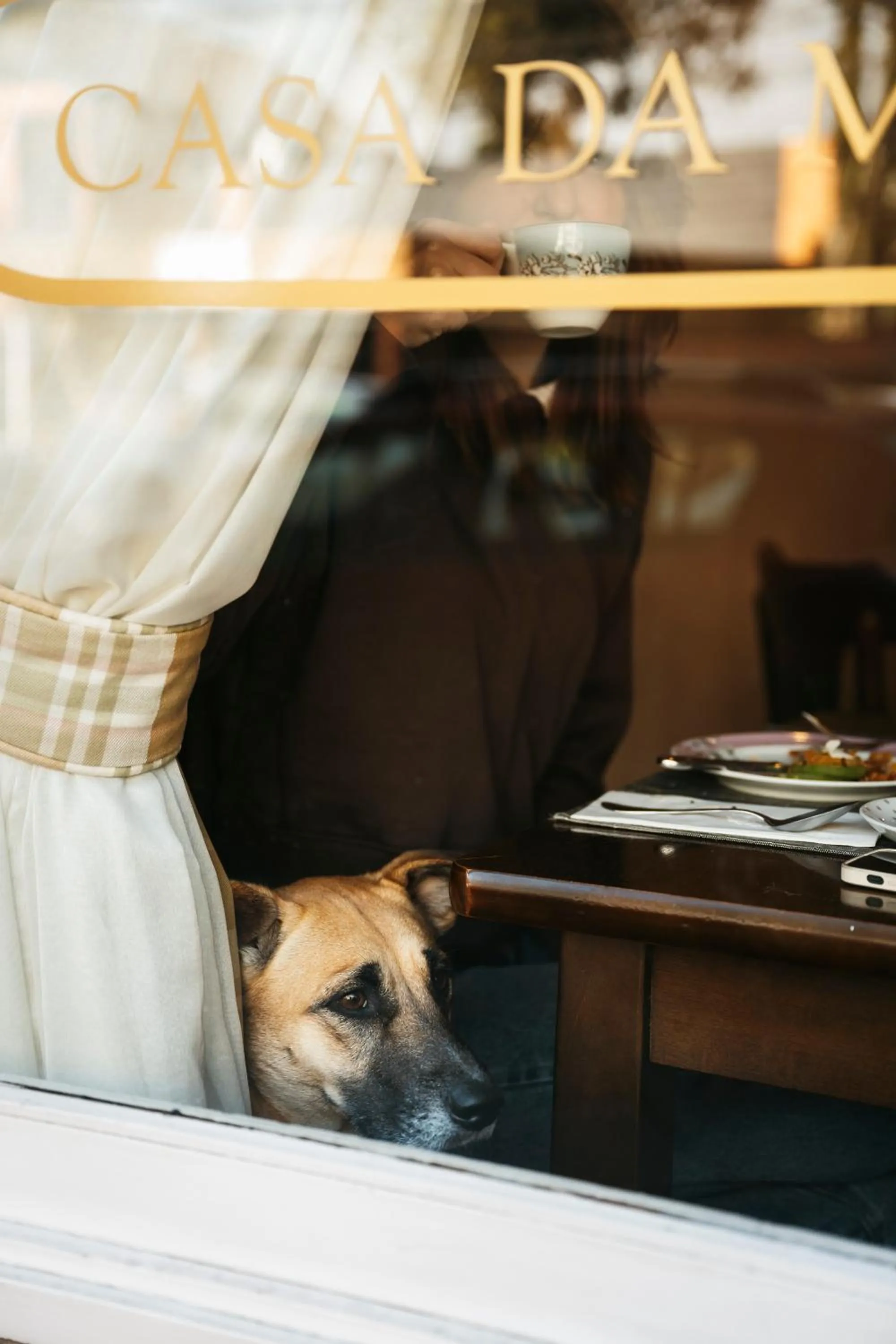 Pets in Petit Casa da Montanha