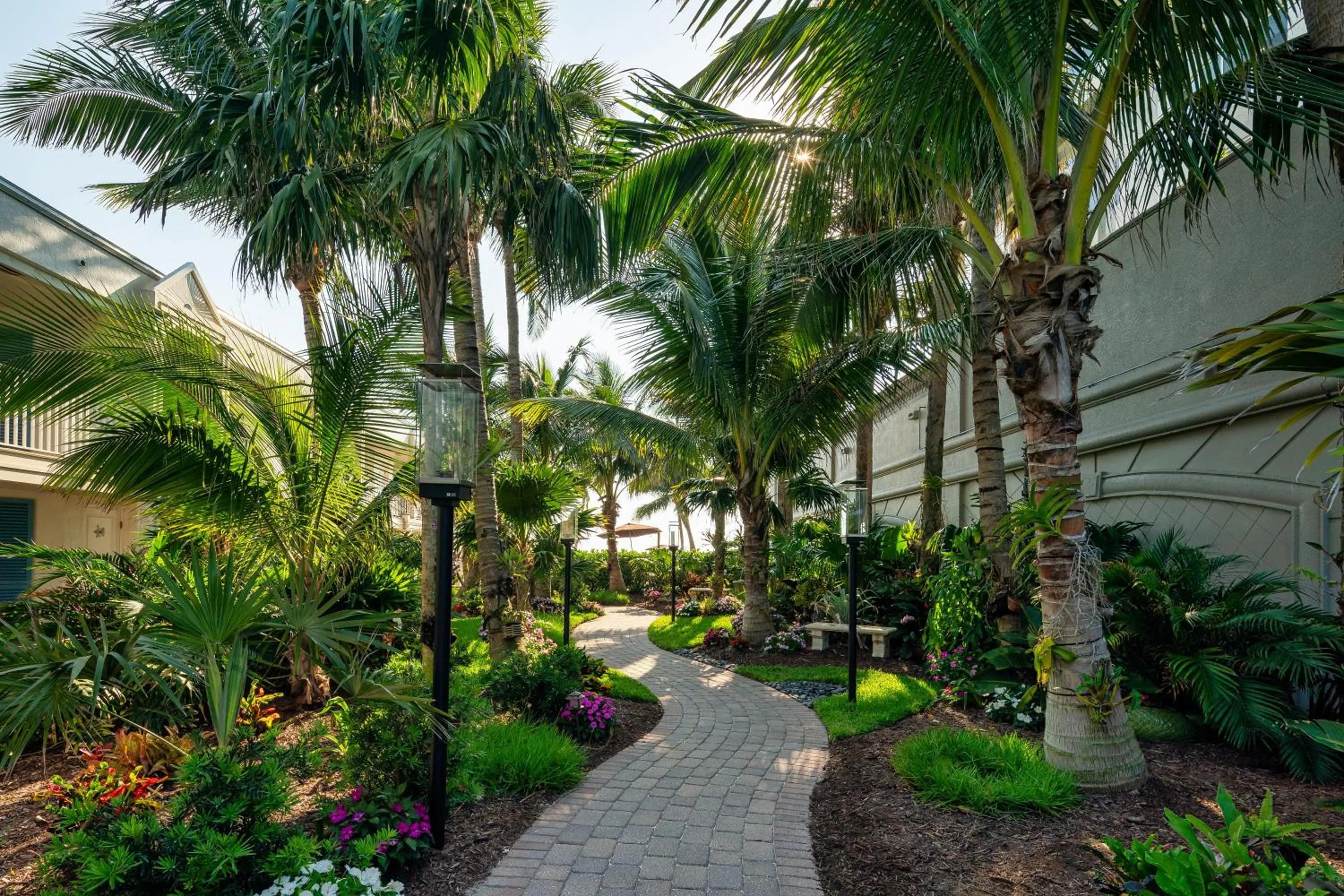 Natural landscape in Vanderbilt Beach Resort