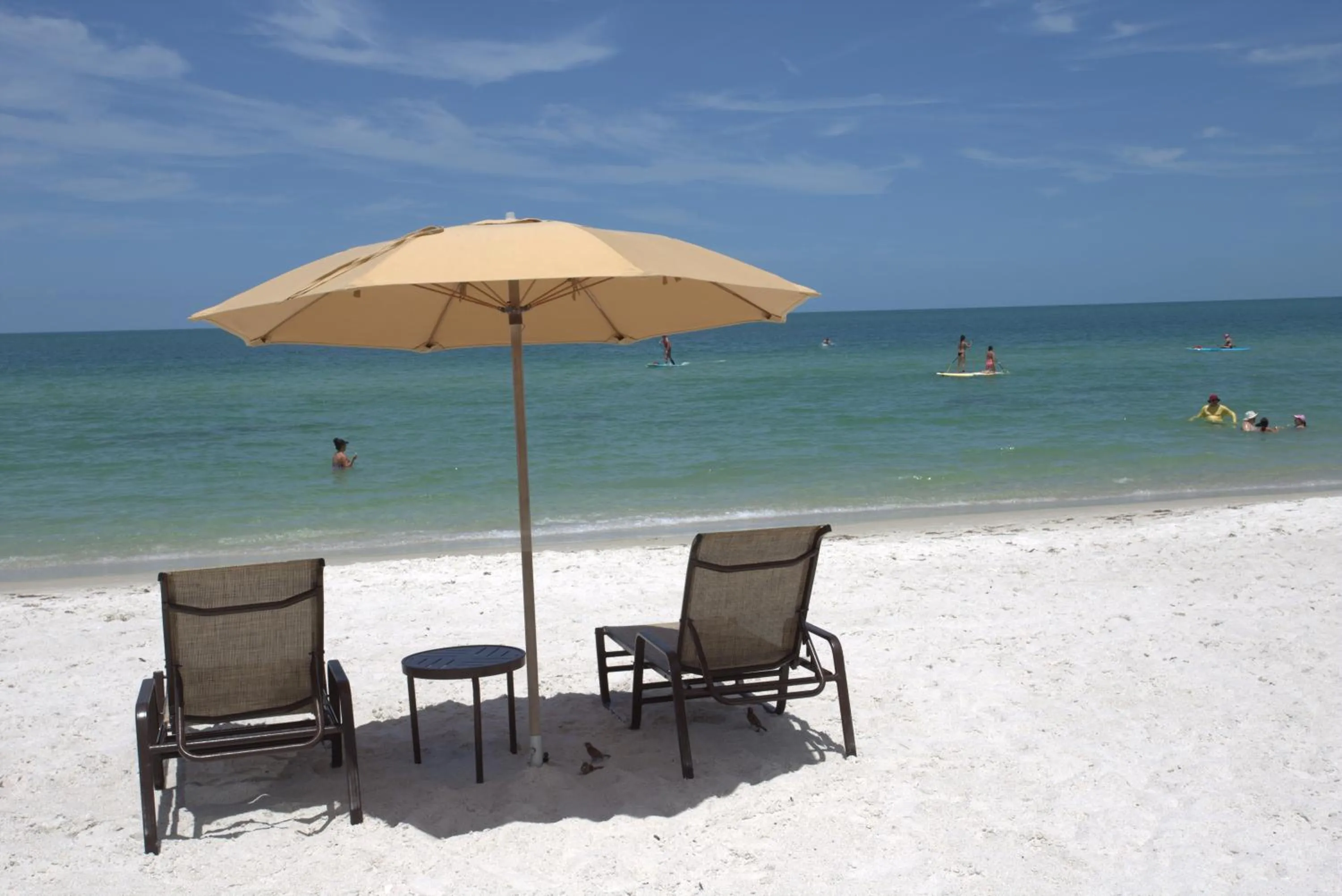 Beach in Vanderbilt Beach Resort
