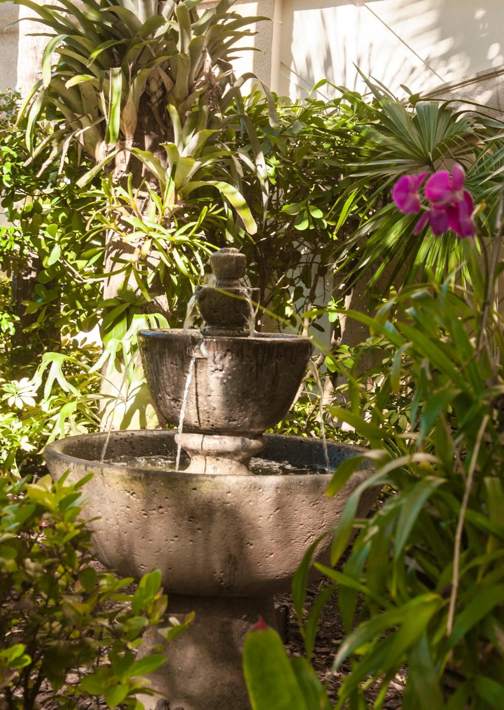 Garden in Vanderbilt Beach Resort