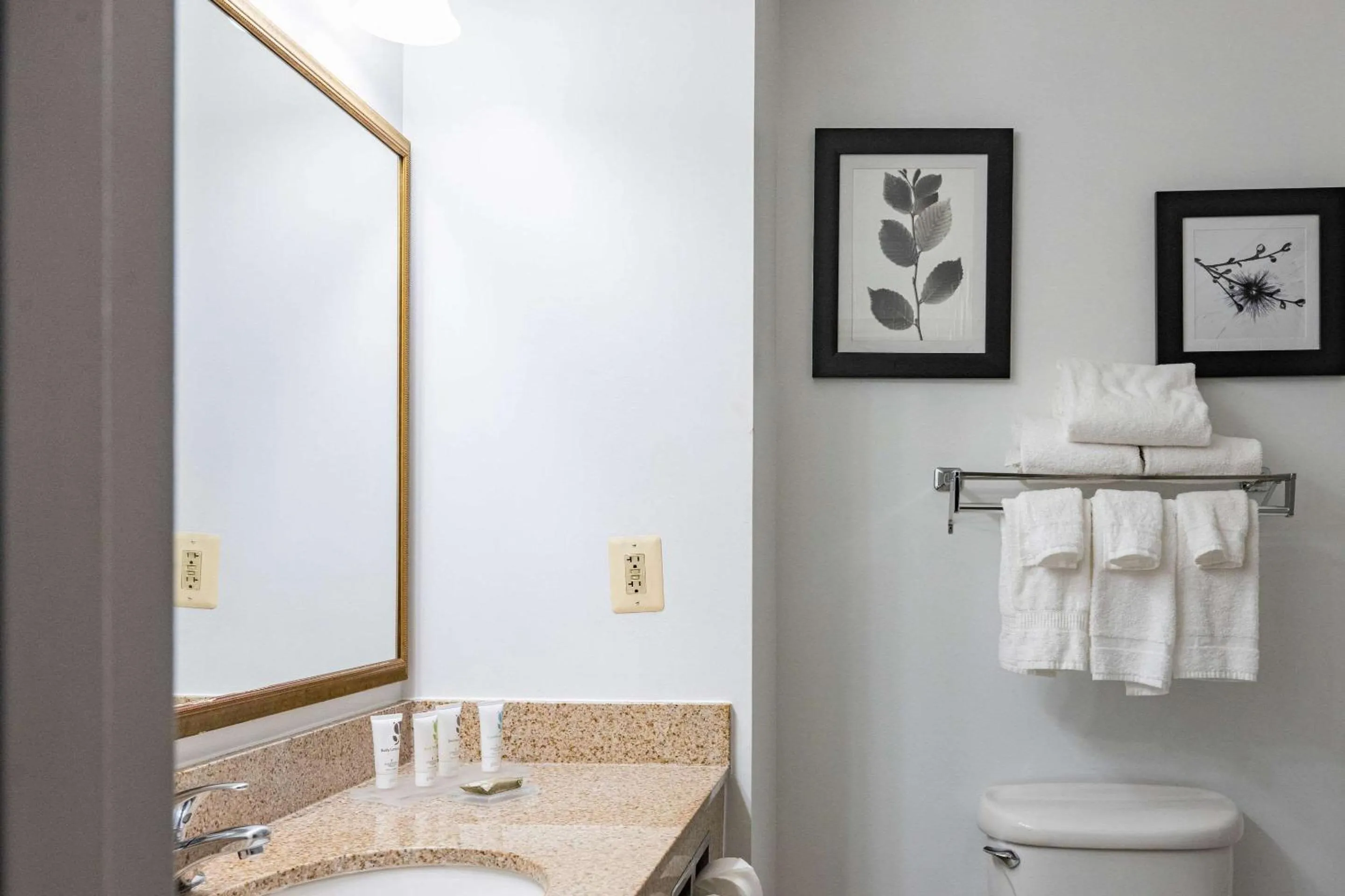 Bedroom in Country Inn & Suites by Radisson, BWI Airport Baltimore , MD