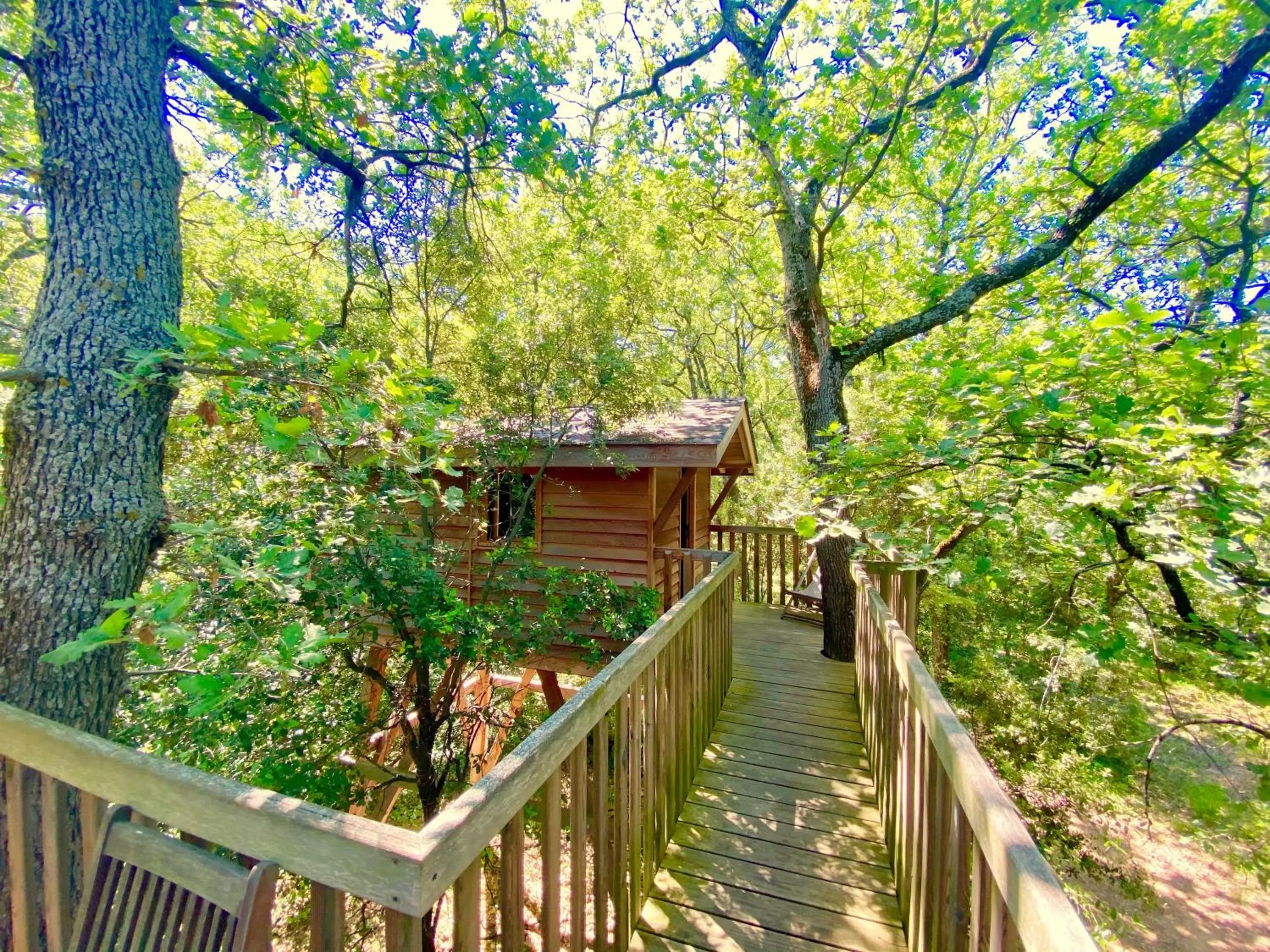 Balcony/Terrace in La Bastide Du Bois Breant
