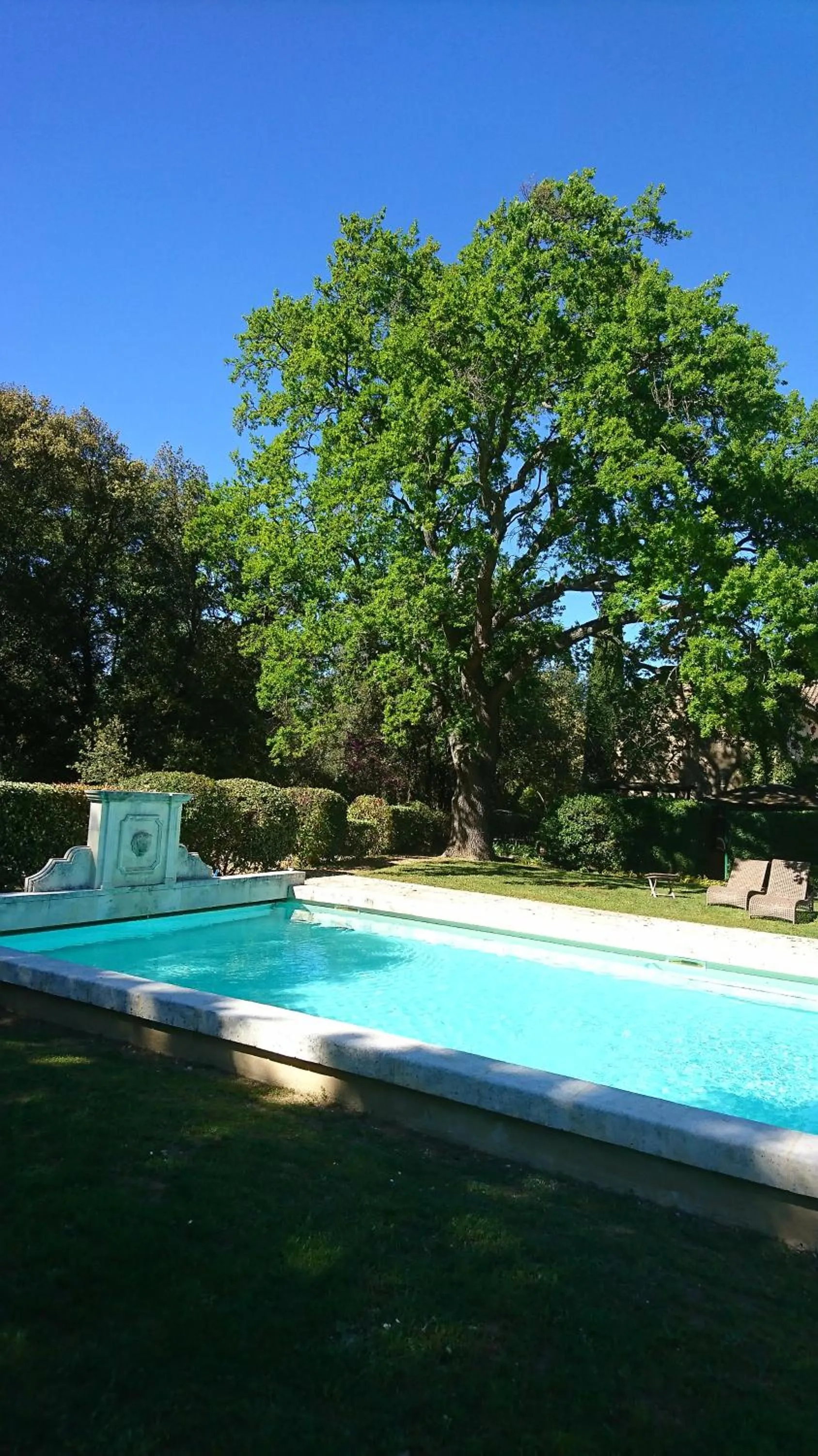 Swimming pool in La Bastide Du Bois Breant