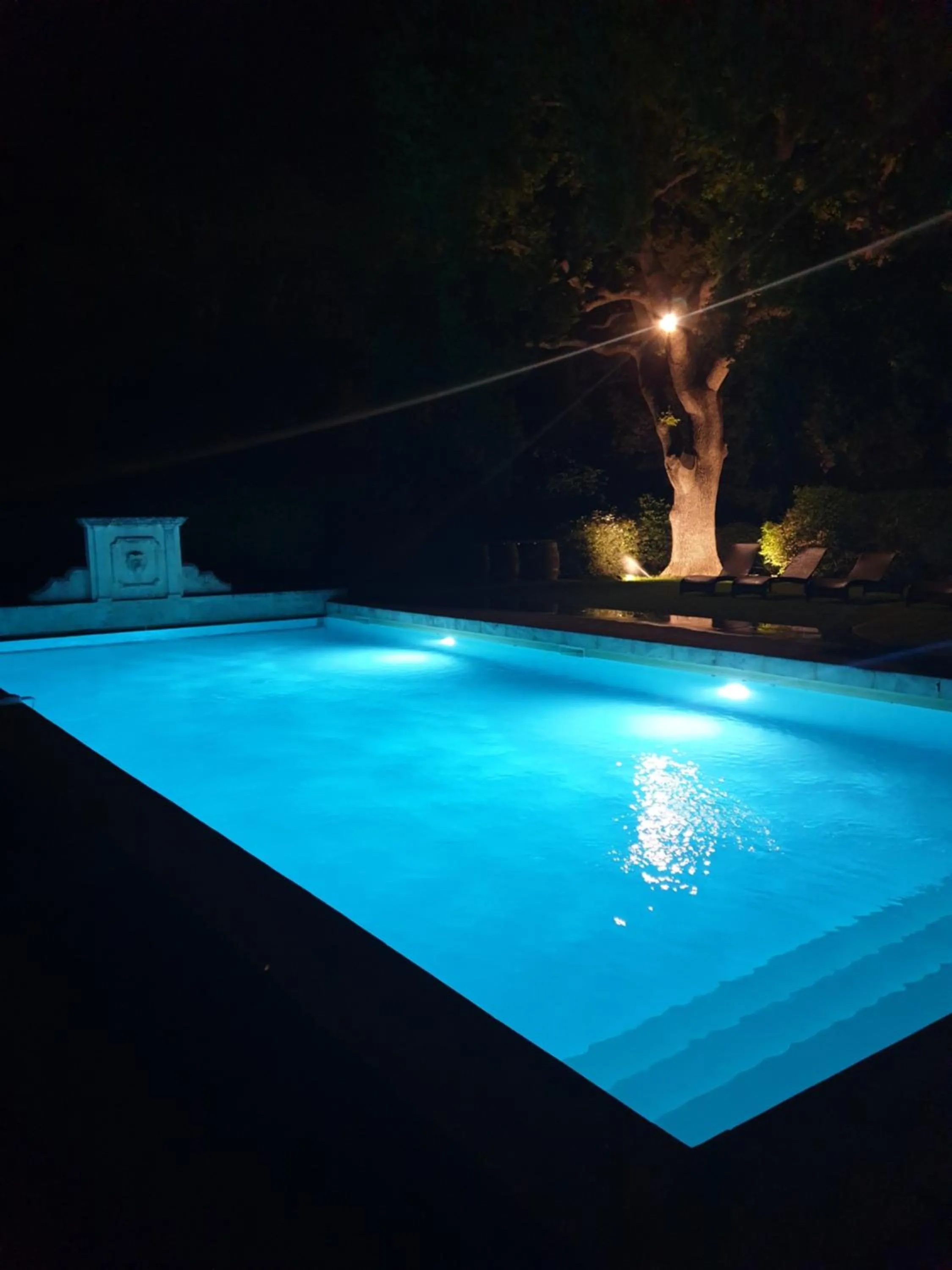 Swimming pool in La Bastide Du Bois Breant