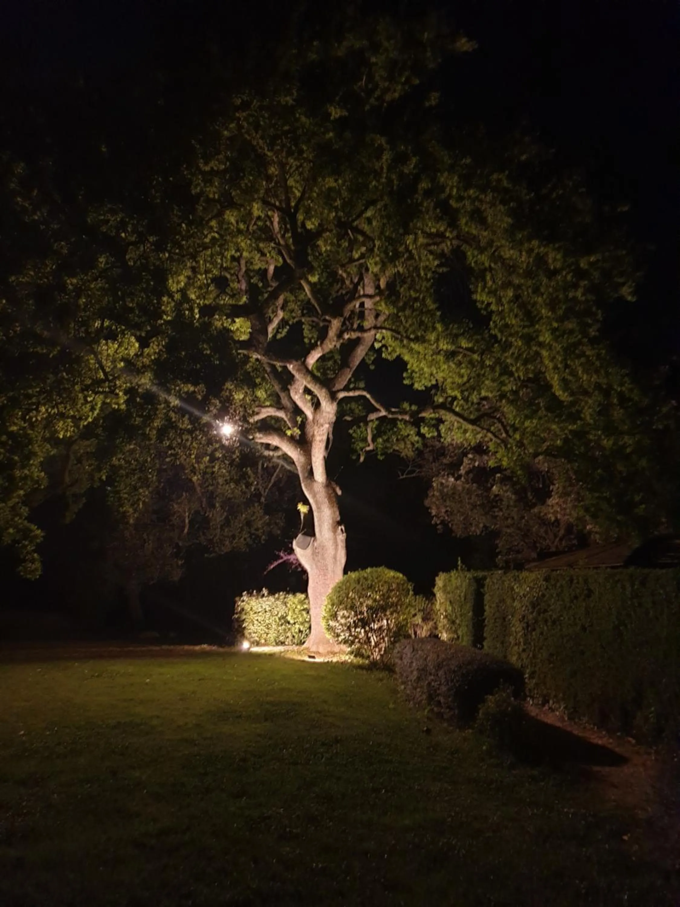 Garden in La Bastide Du Bois Breant