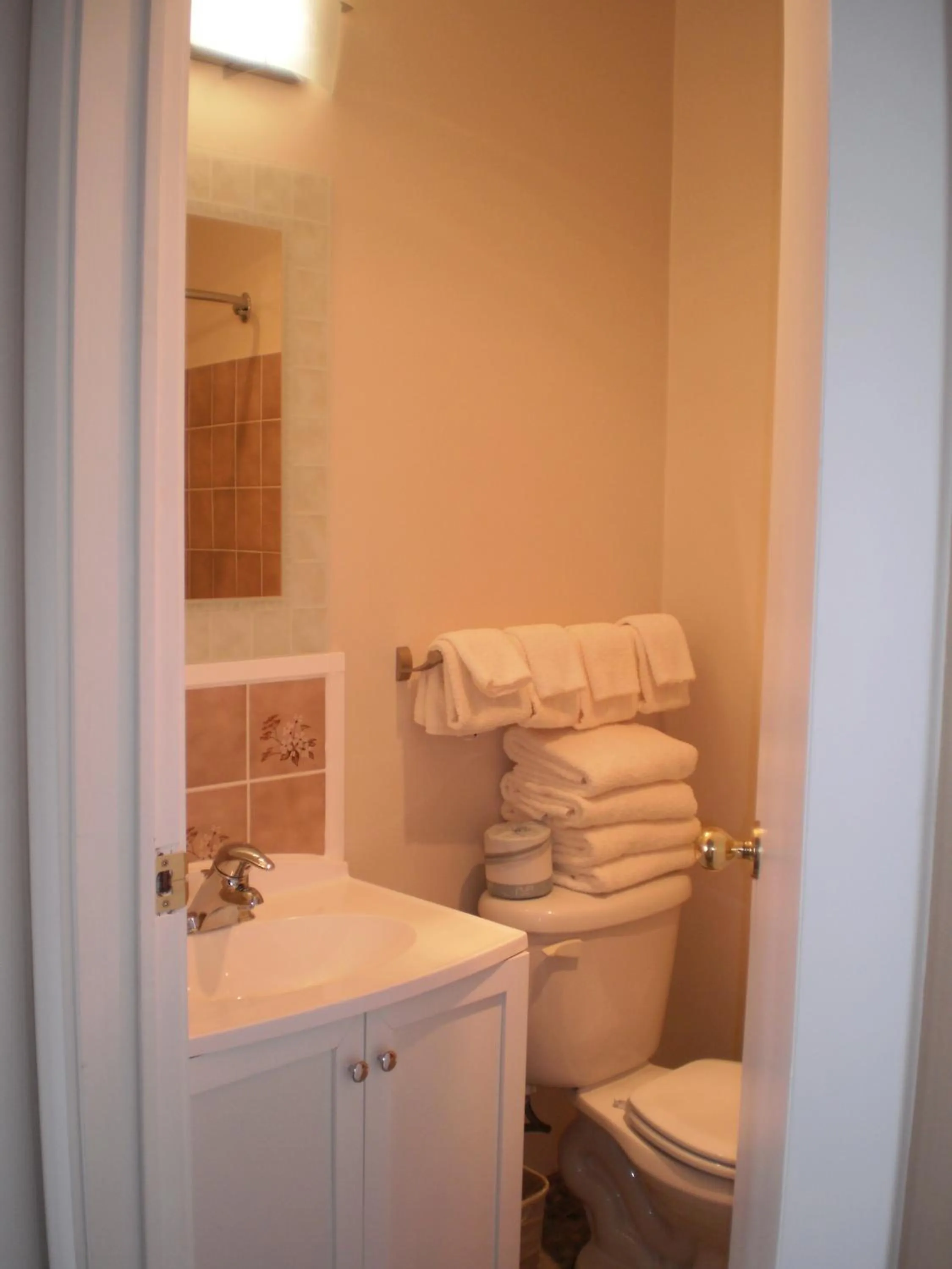 Bathroom in Almo Court Motel