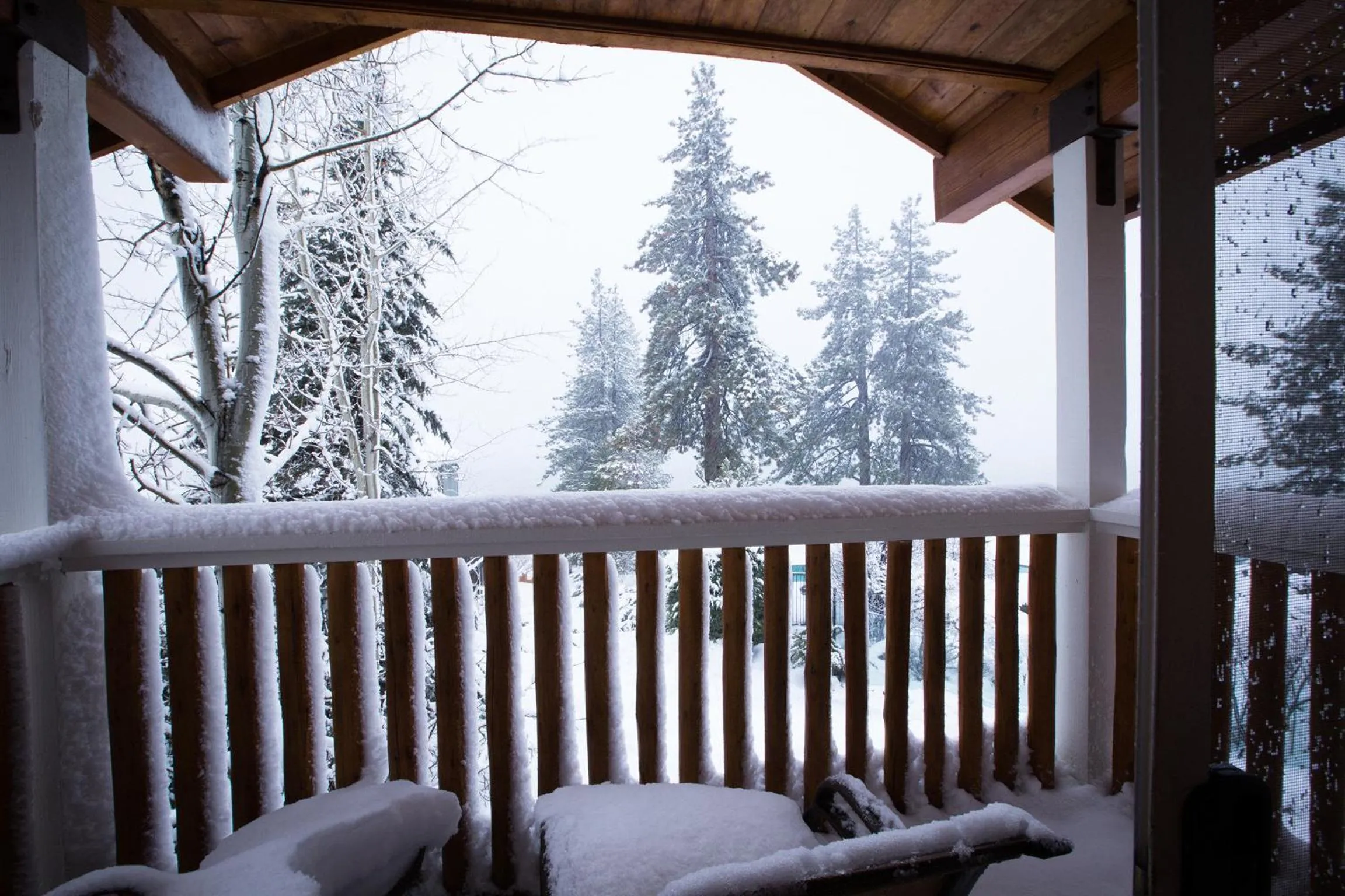 Property building in Red Wolf Lakeside Lodge
