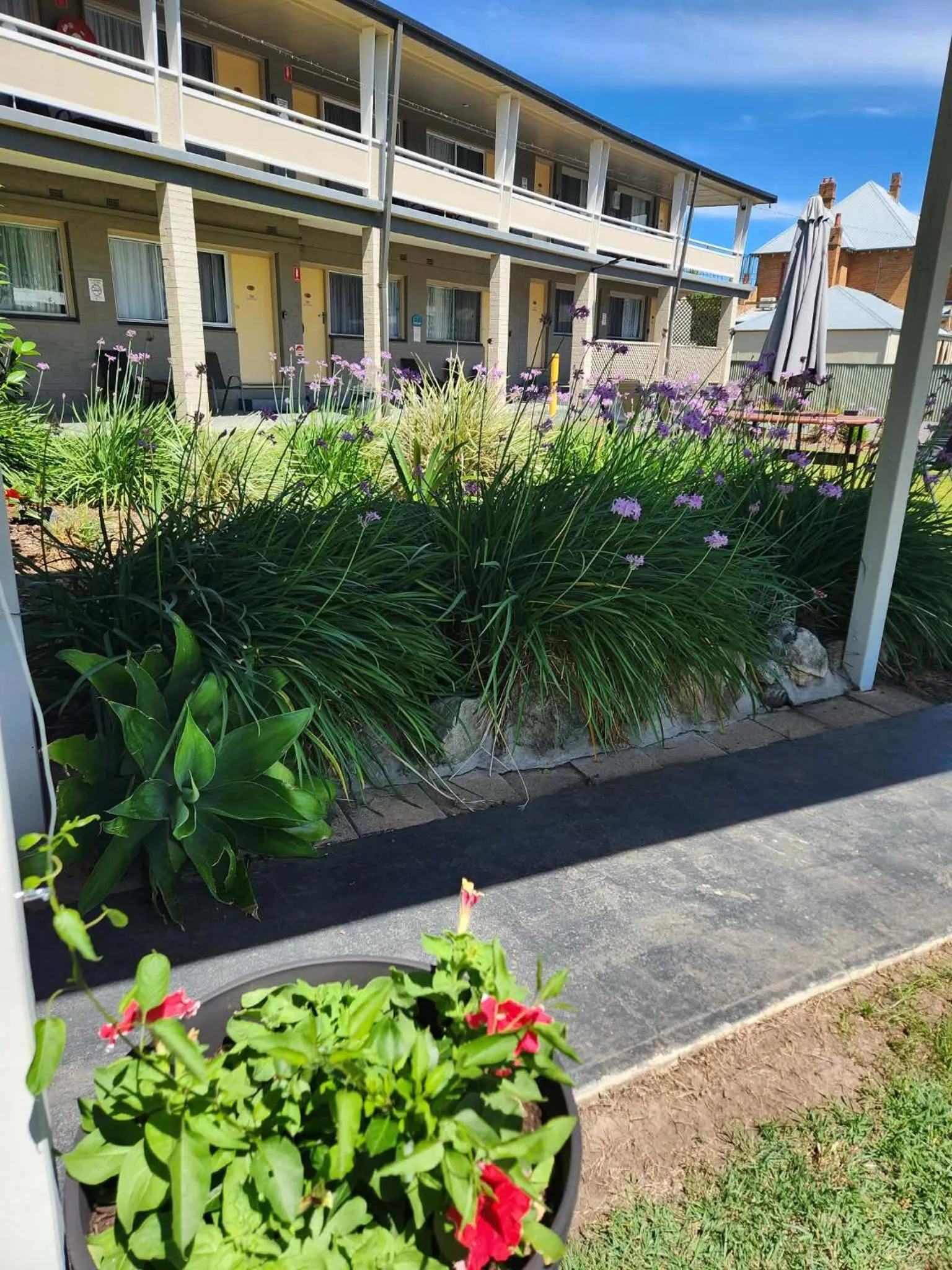 Garden in Bucketts Way Motel Gloucester