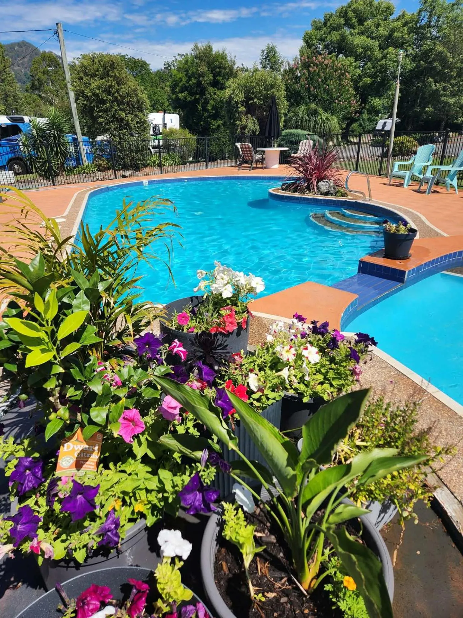 Swimming pool in Bucketts Way Motel Gloucester