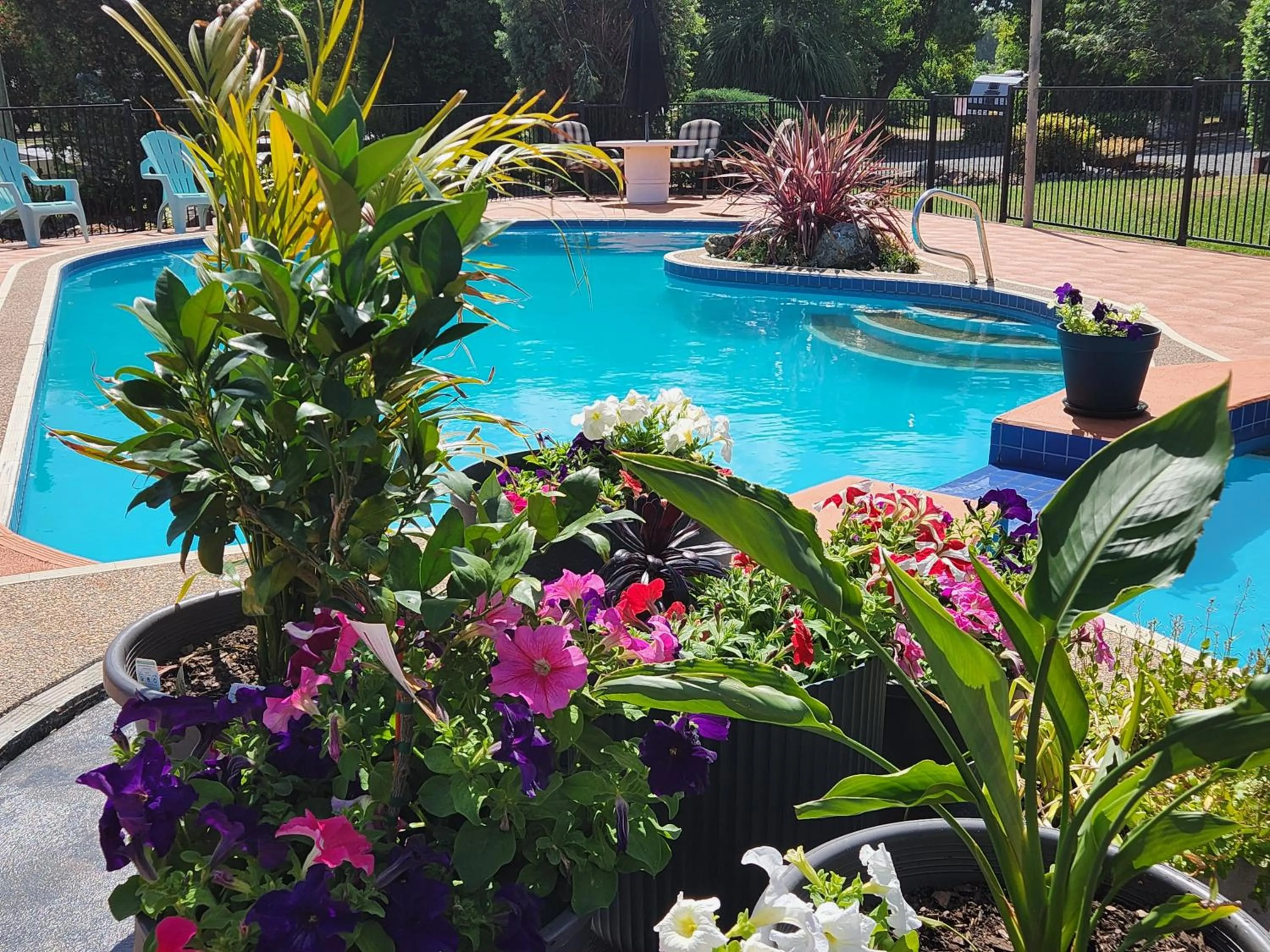 Garden in Bucketts Way Motel Gloucester