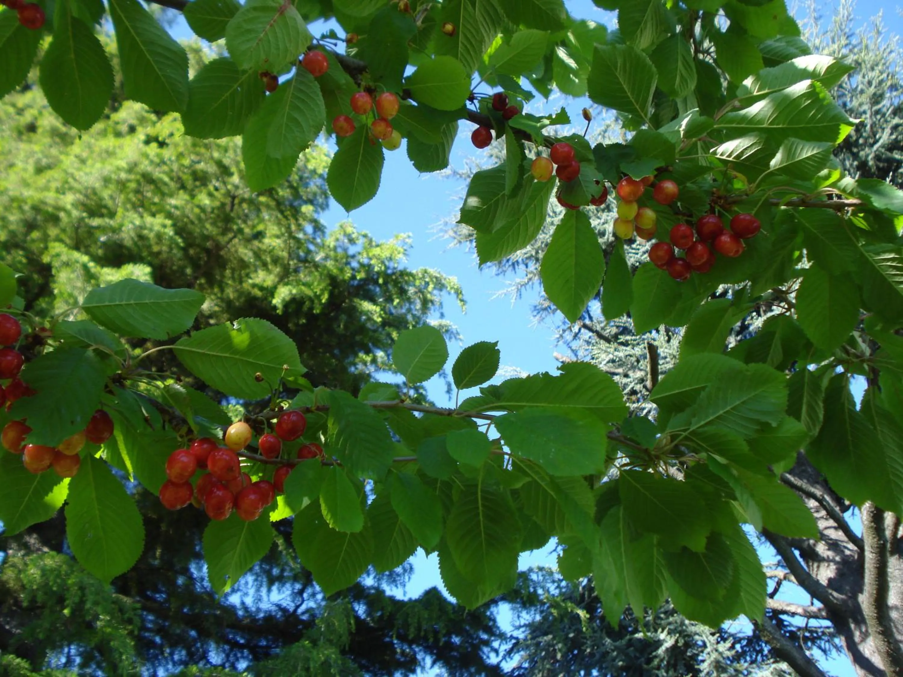 Natural landscape in Casa T Bed and Breakfast & Home Restaurant di Tacchino Simone