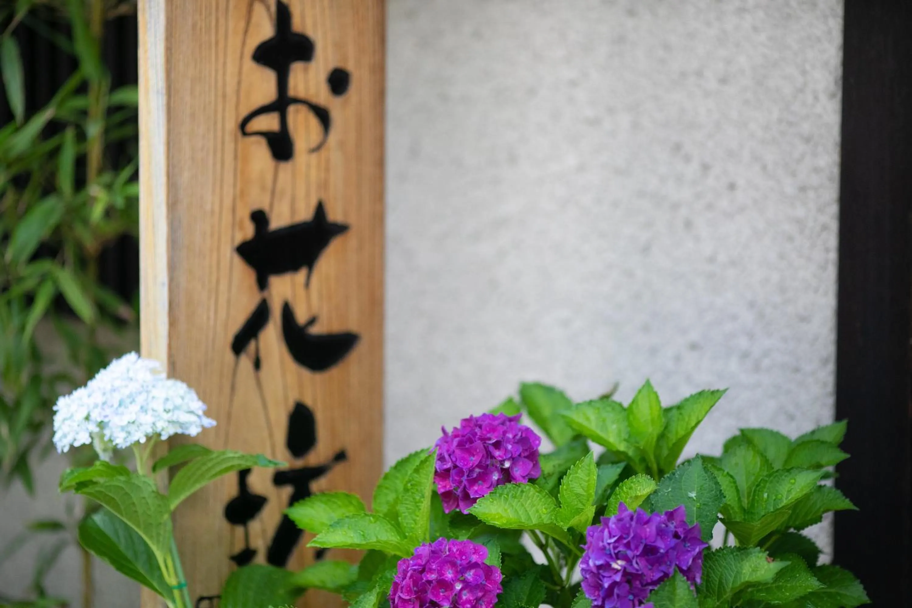 Property building in Ohanabo