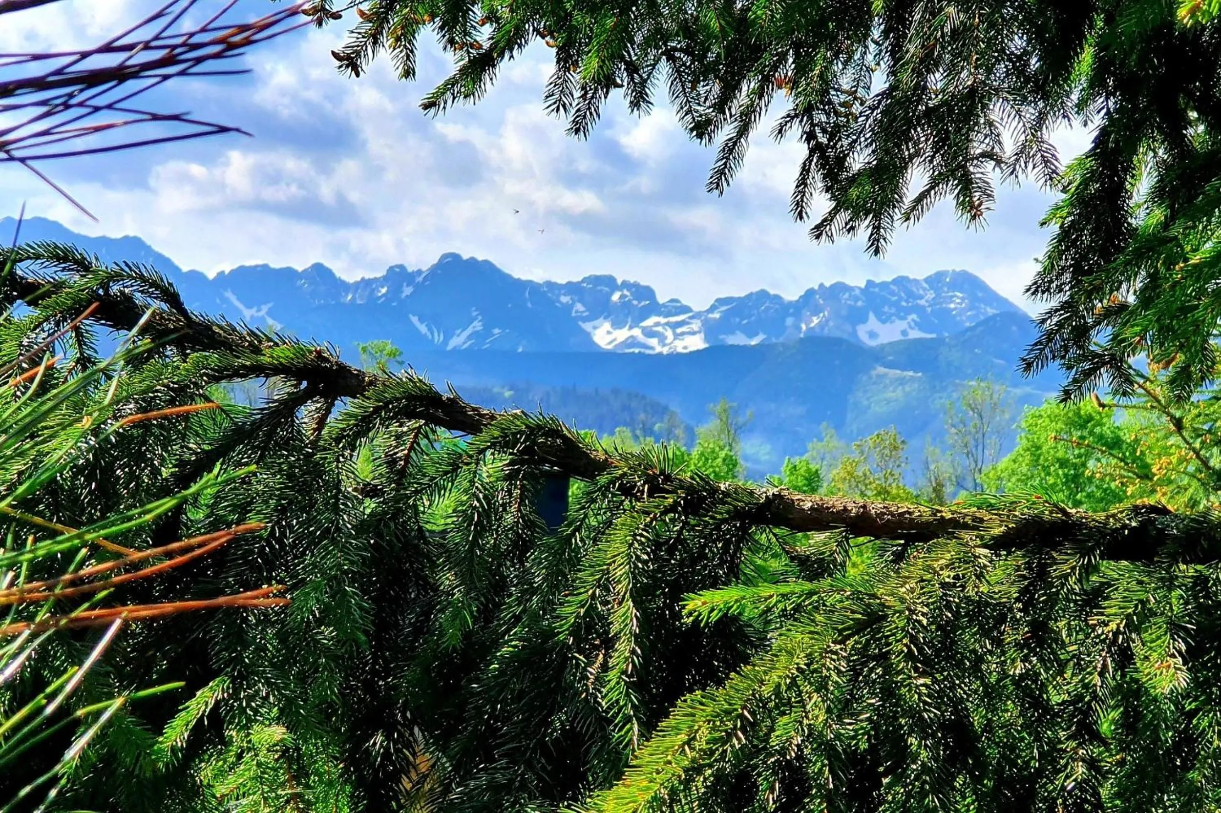 Mountain view in Tatrzańska Rezydencja pod Brzyzkiem