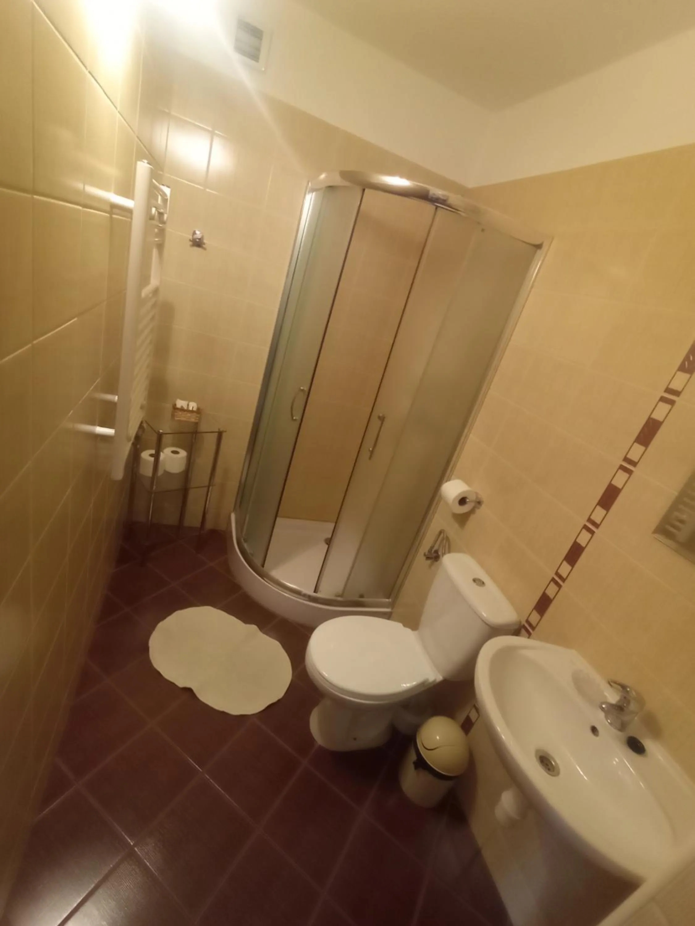 Toilet in Tatrzańska Rezydencja pod Brzyzkiem