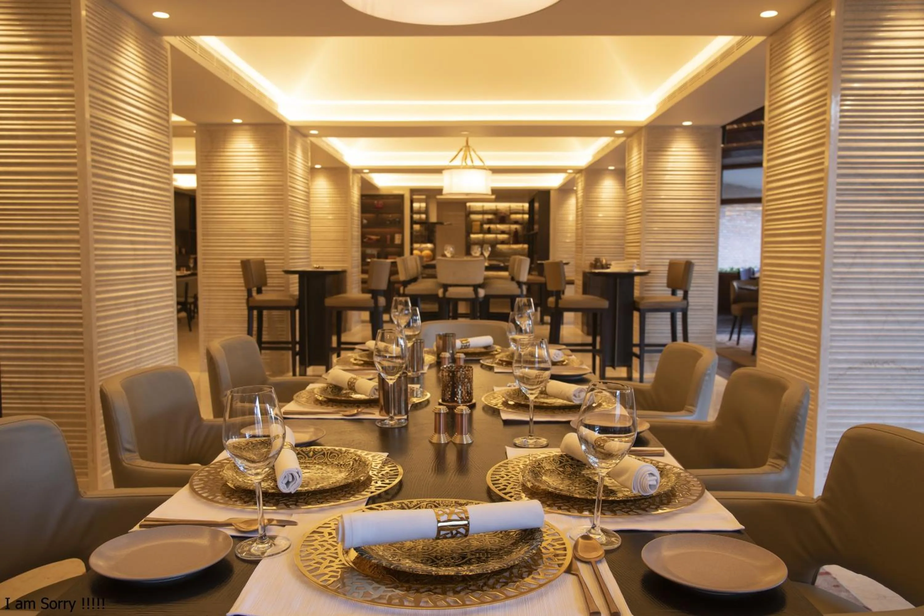 Restaurant/places to eat in Hotel Yak & Yeti