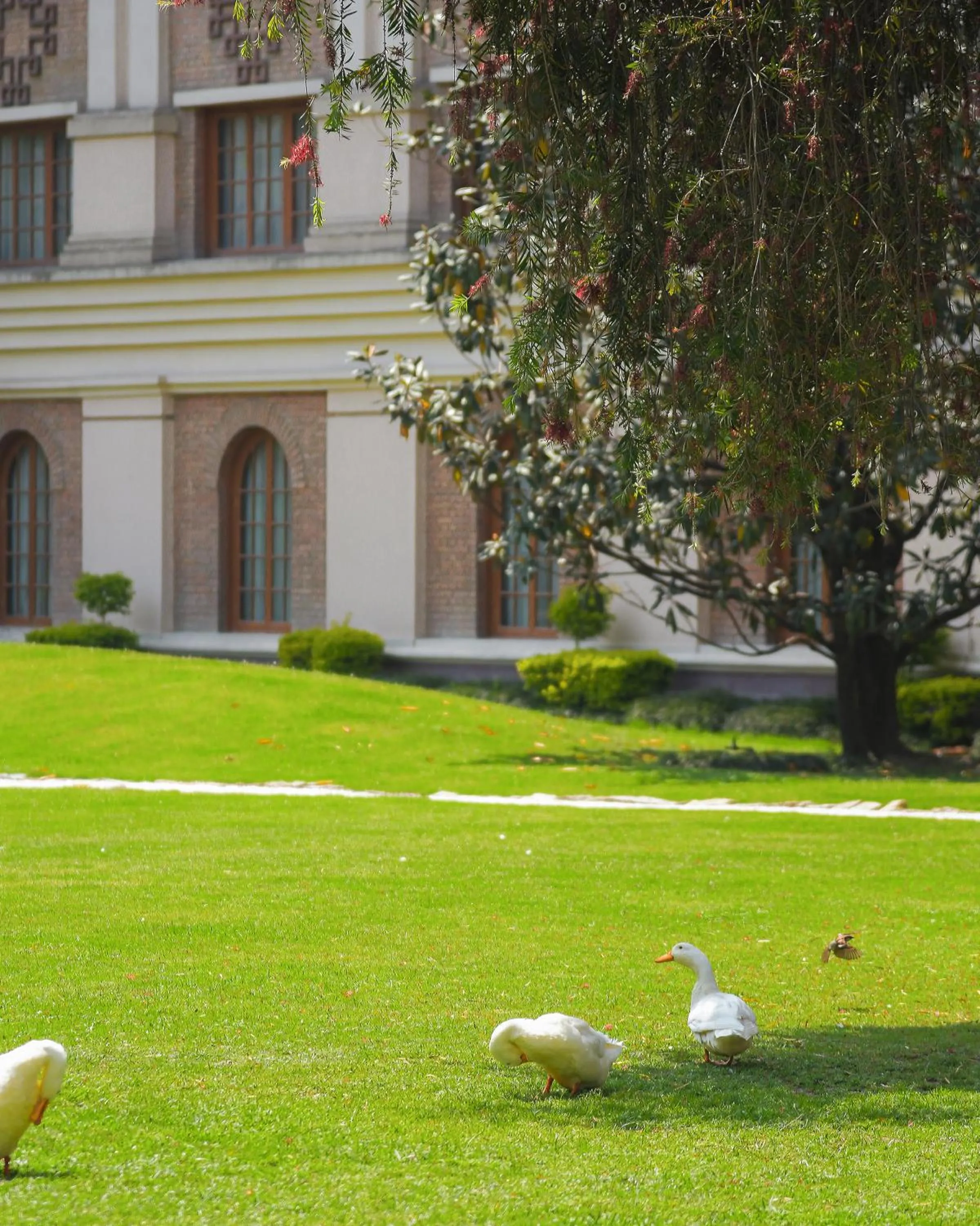 Spring in Hotel Yak & Yeti