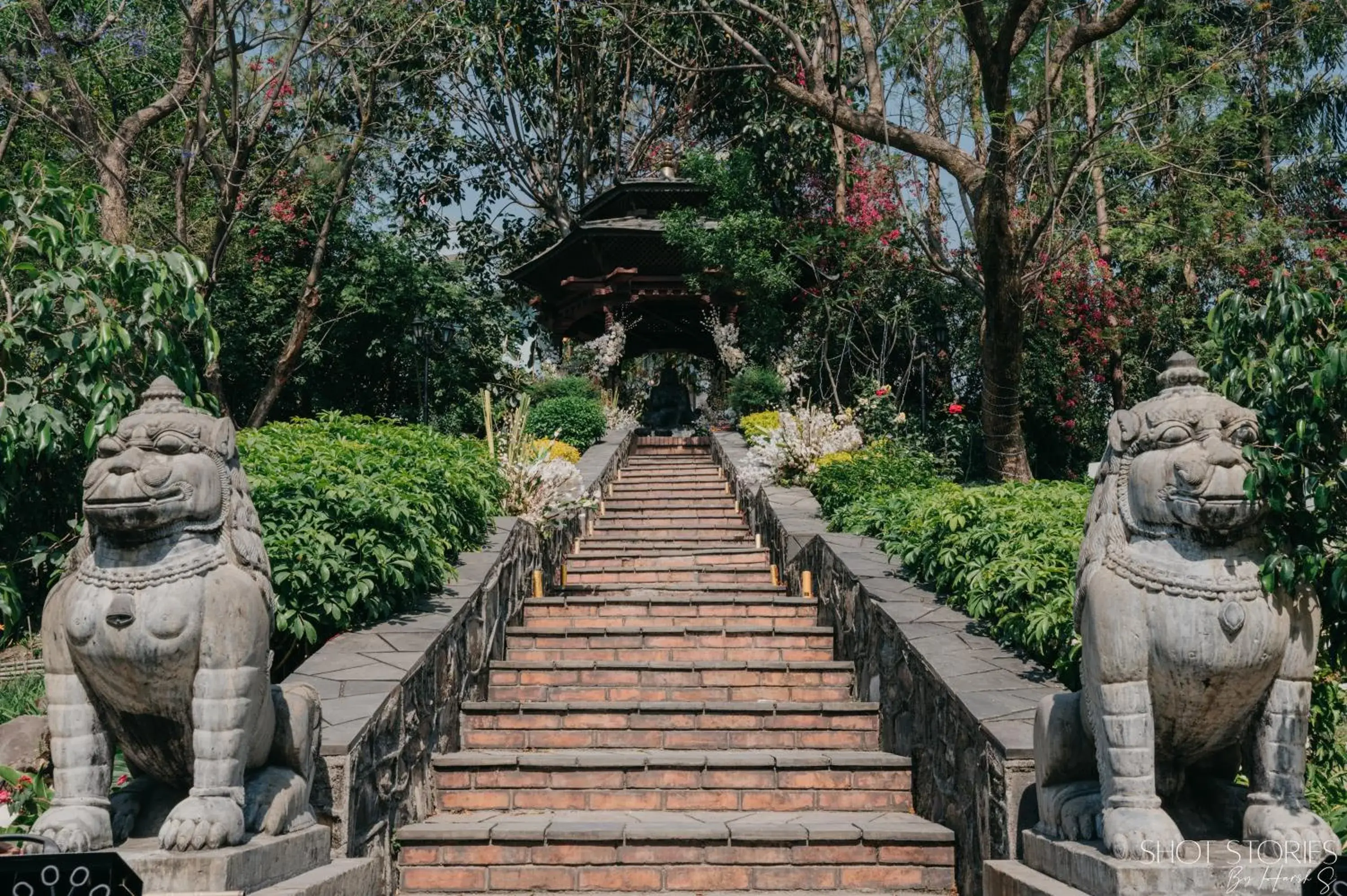 Garden in Hotel Yak & Yeti Garden in Hotel Yak & Yeti