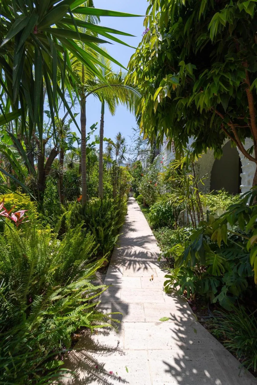 Natural landscape in Hotel Karia Princess