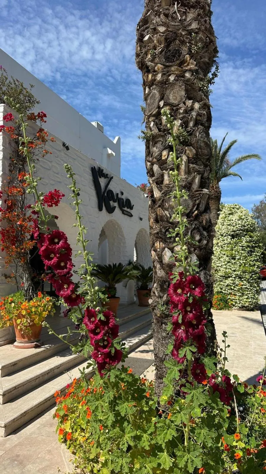 Property building in Hotel Karia Princess