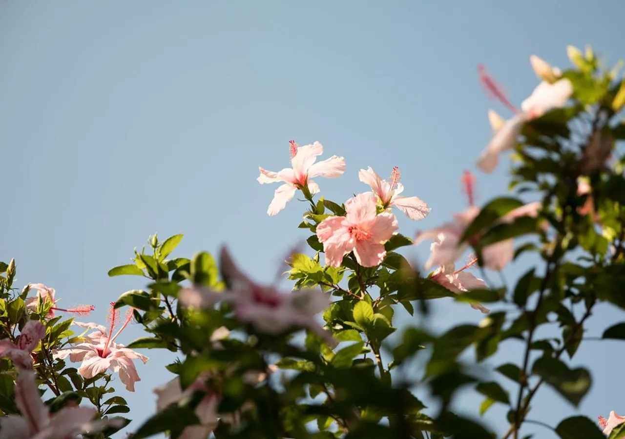 Spring in Hotel Karia Princess