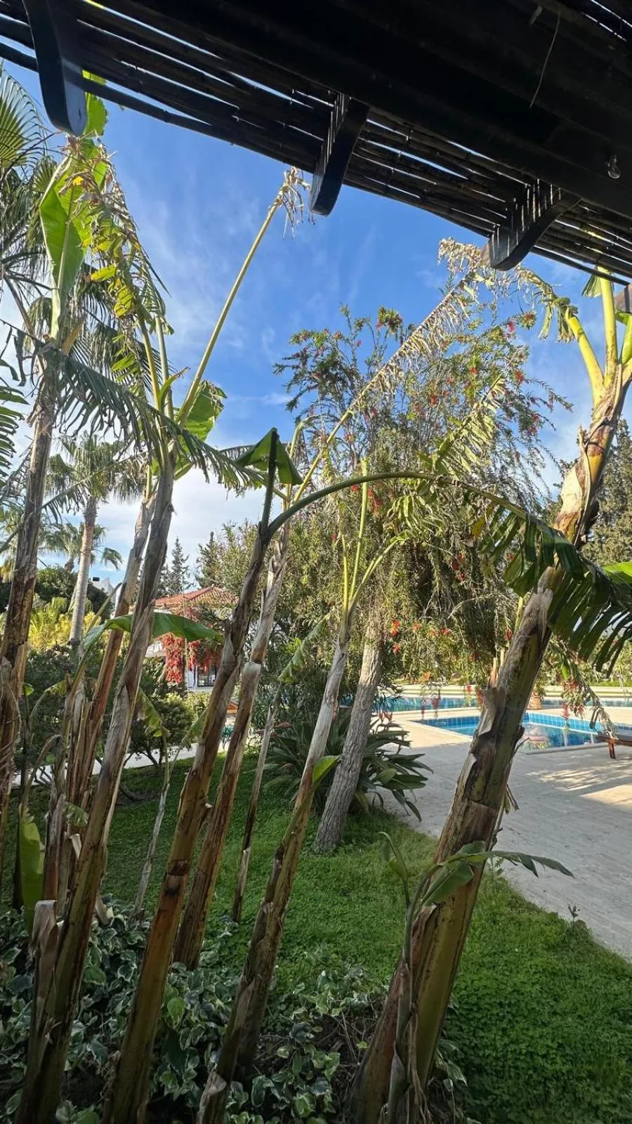 Garden in Hotel Karia Princess