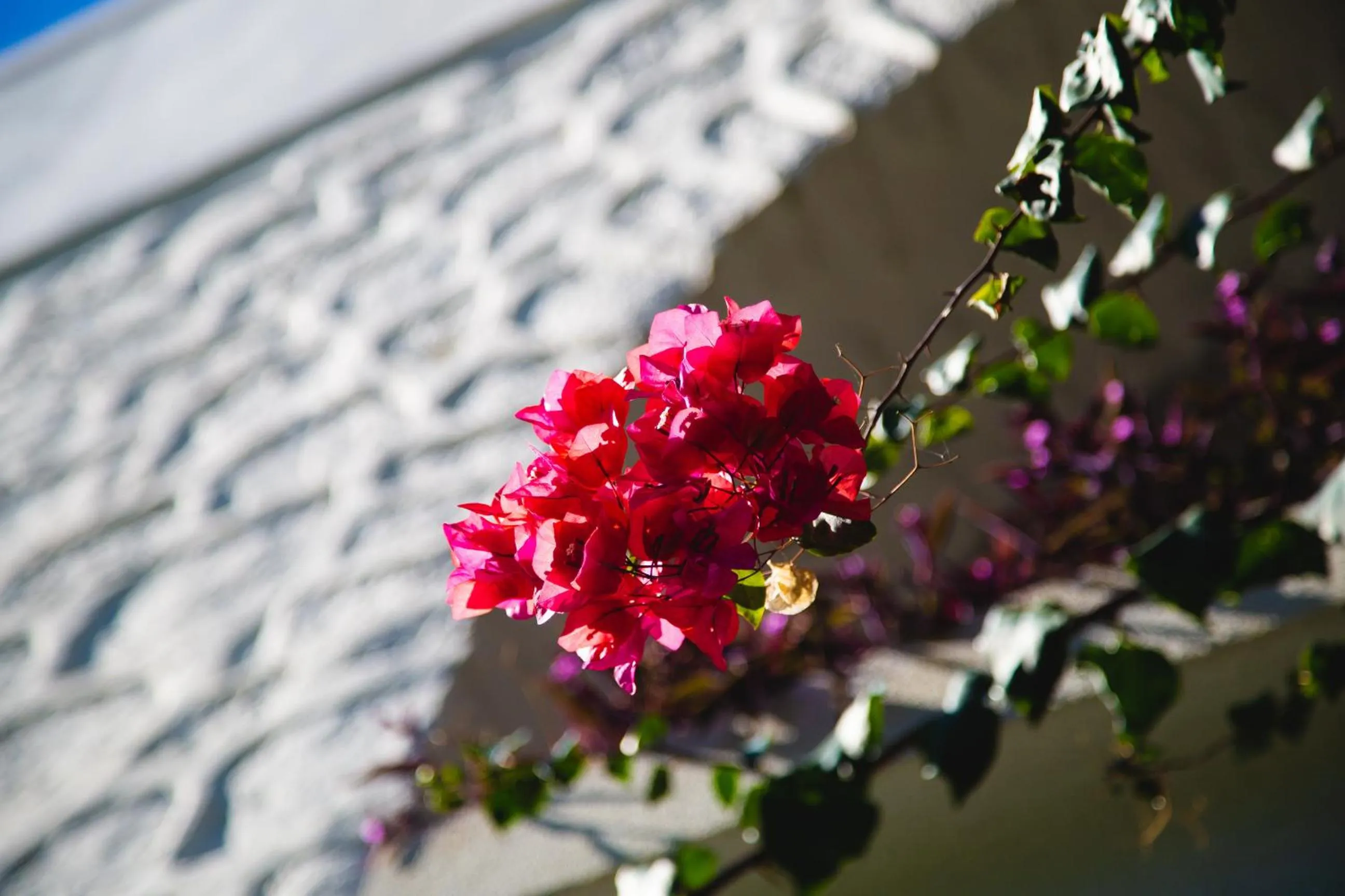 Property building in Hotel Karia Princess