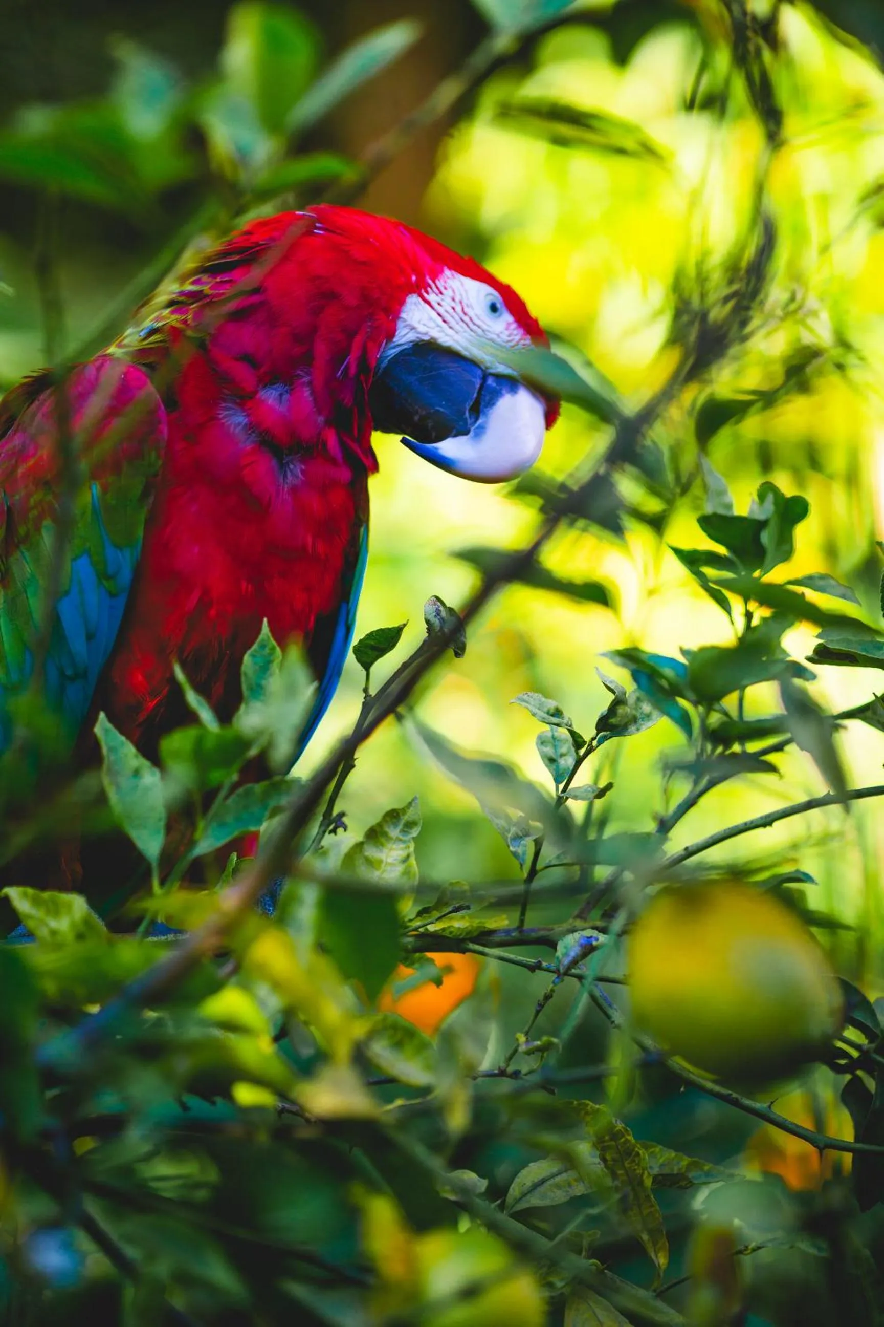 Natural landscape in Hotel Karia Princess